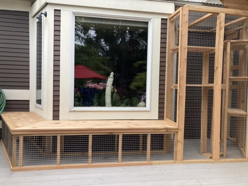 catio1.jpeg