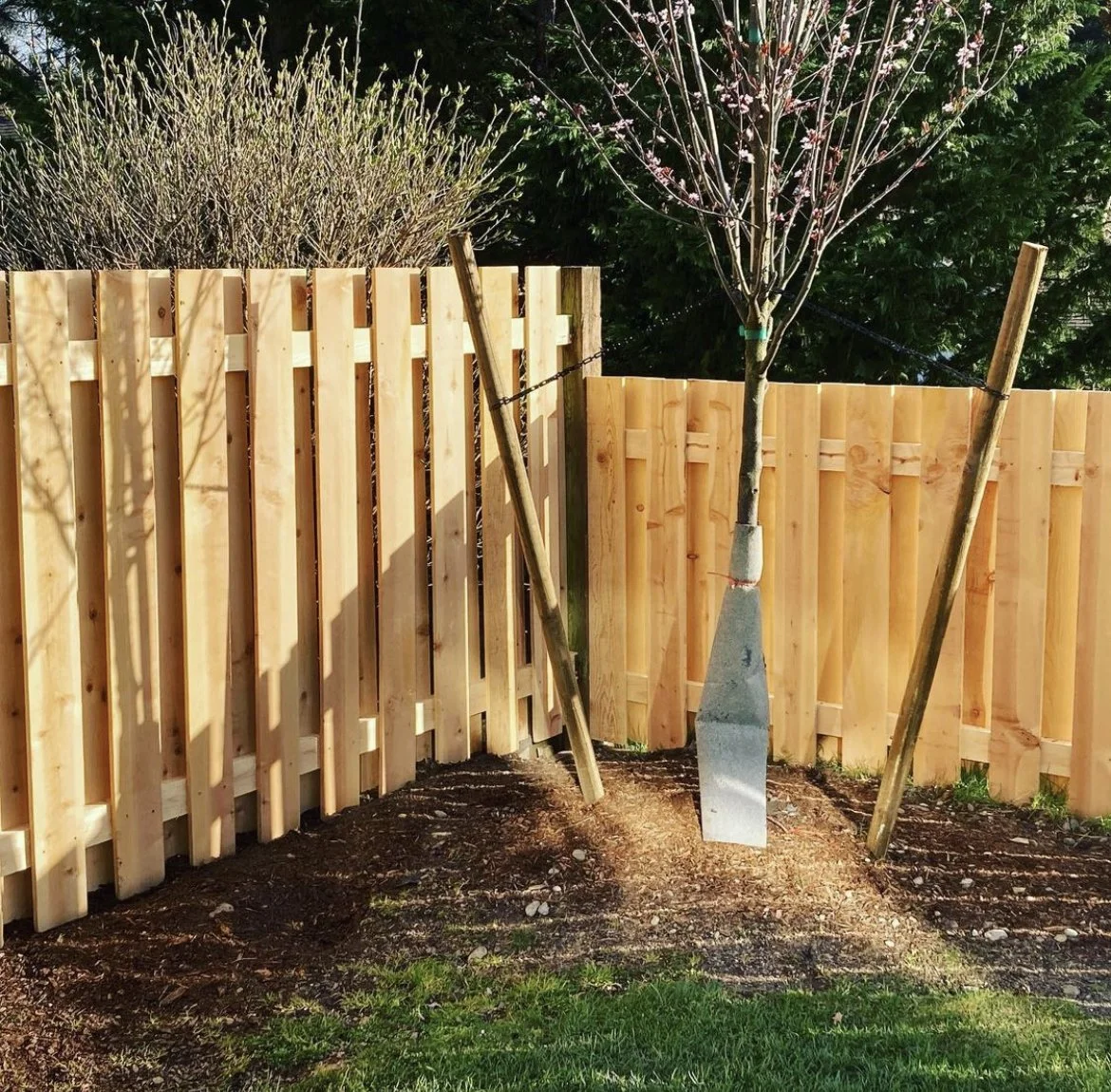 fence10.jpg
