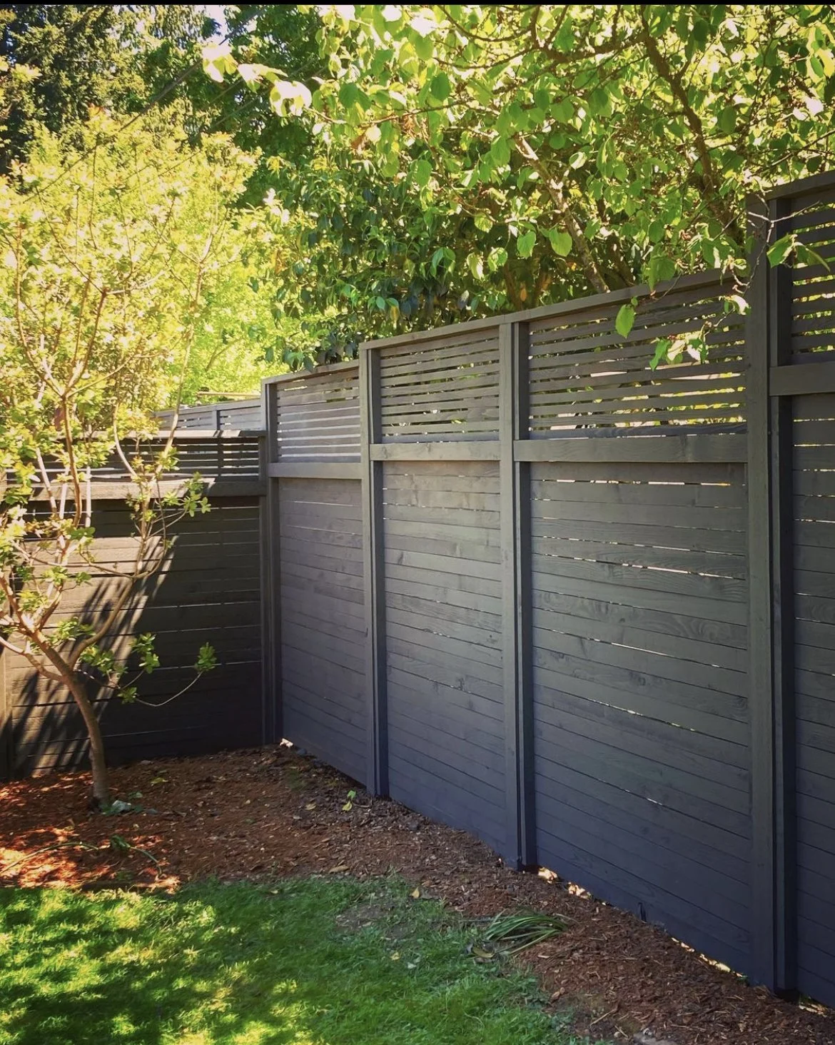 fence16.jpg