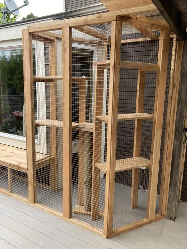 catio2.jpeg