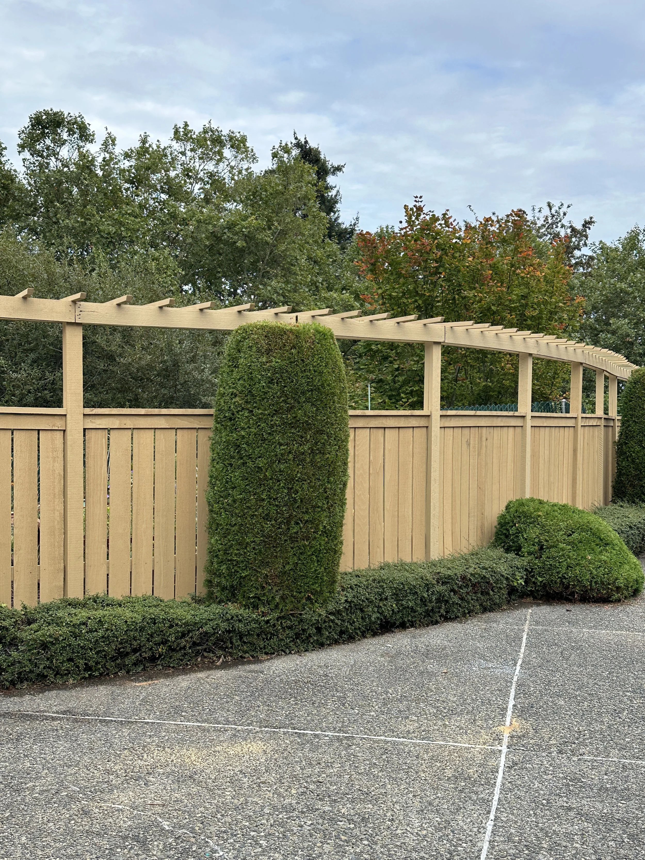 fence25.jpg