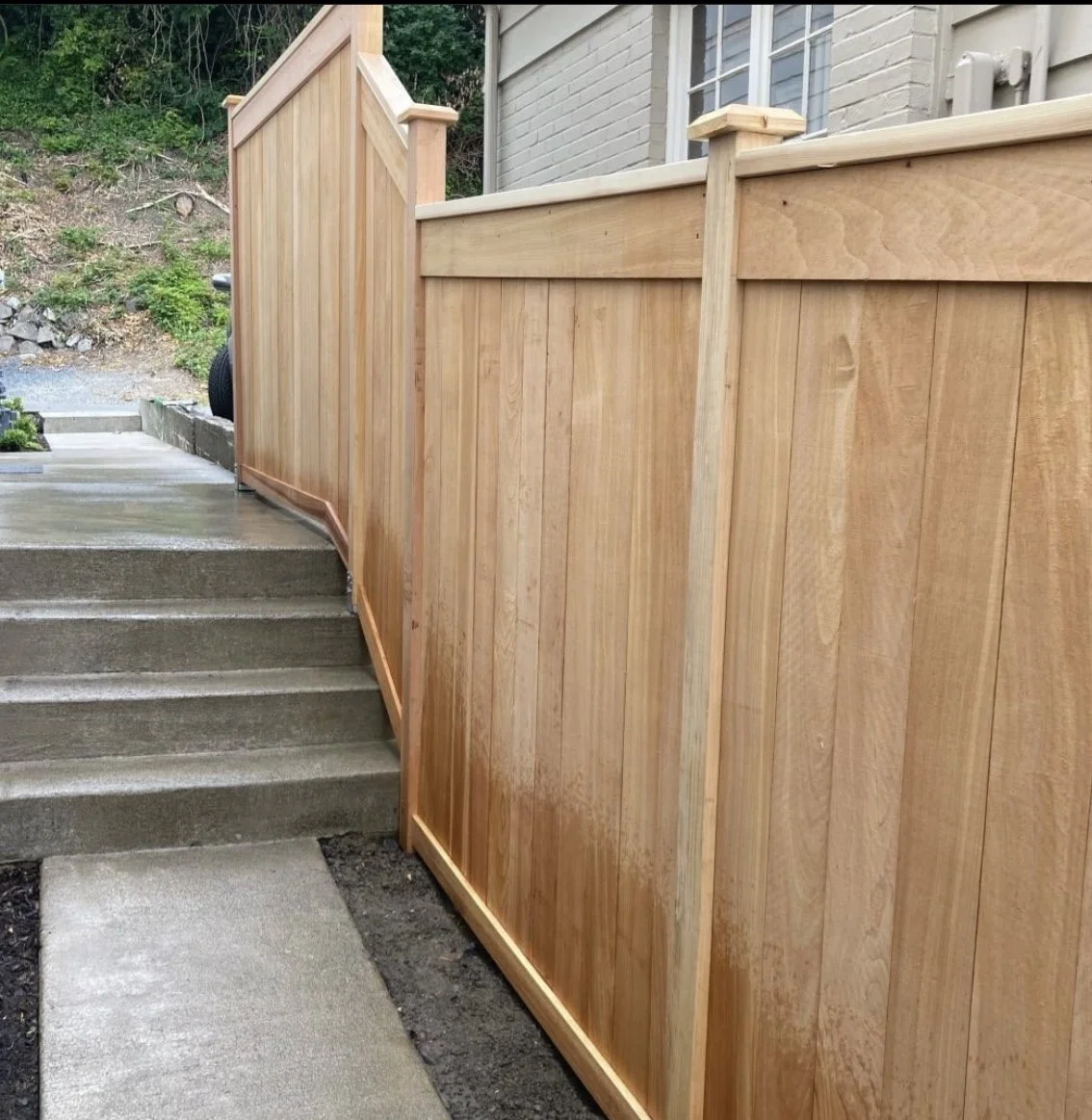 fence8.jpg