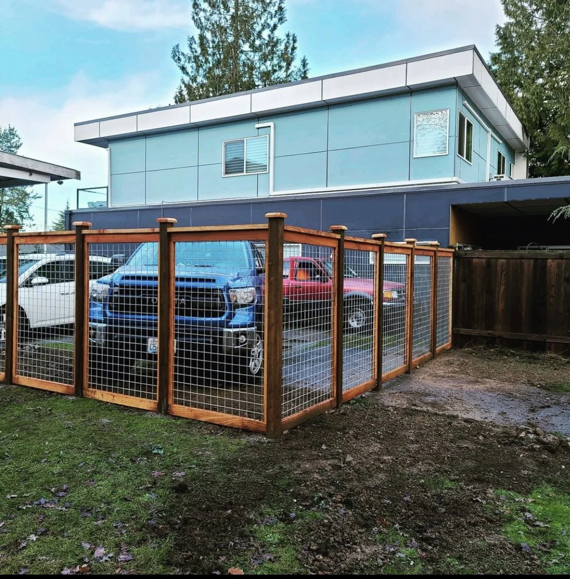 fence11.jpg