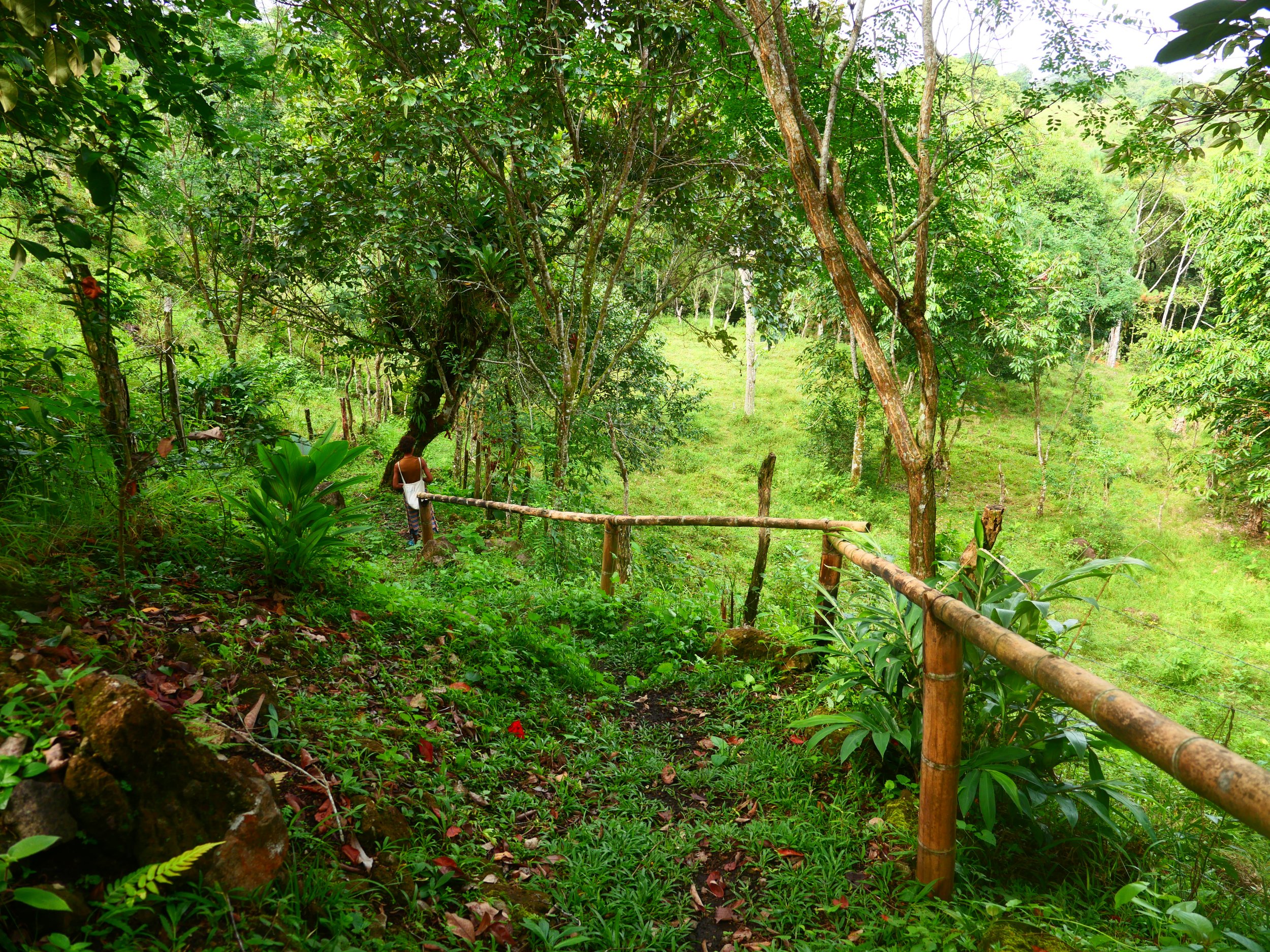 P1052201 - Copy.JPG