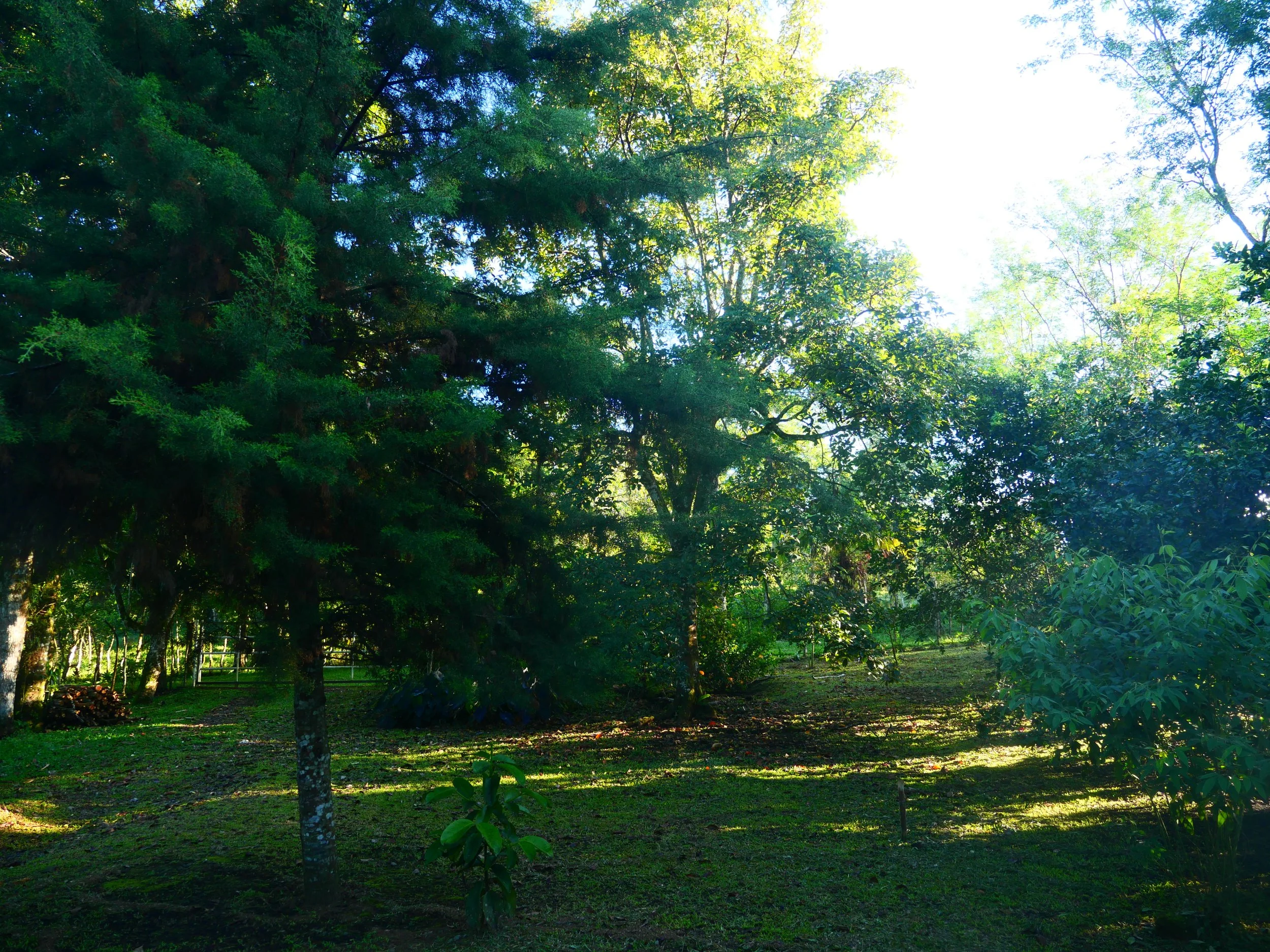 P1052087 - Copy.JPG