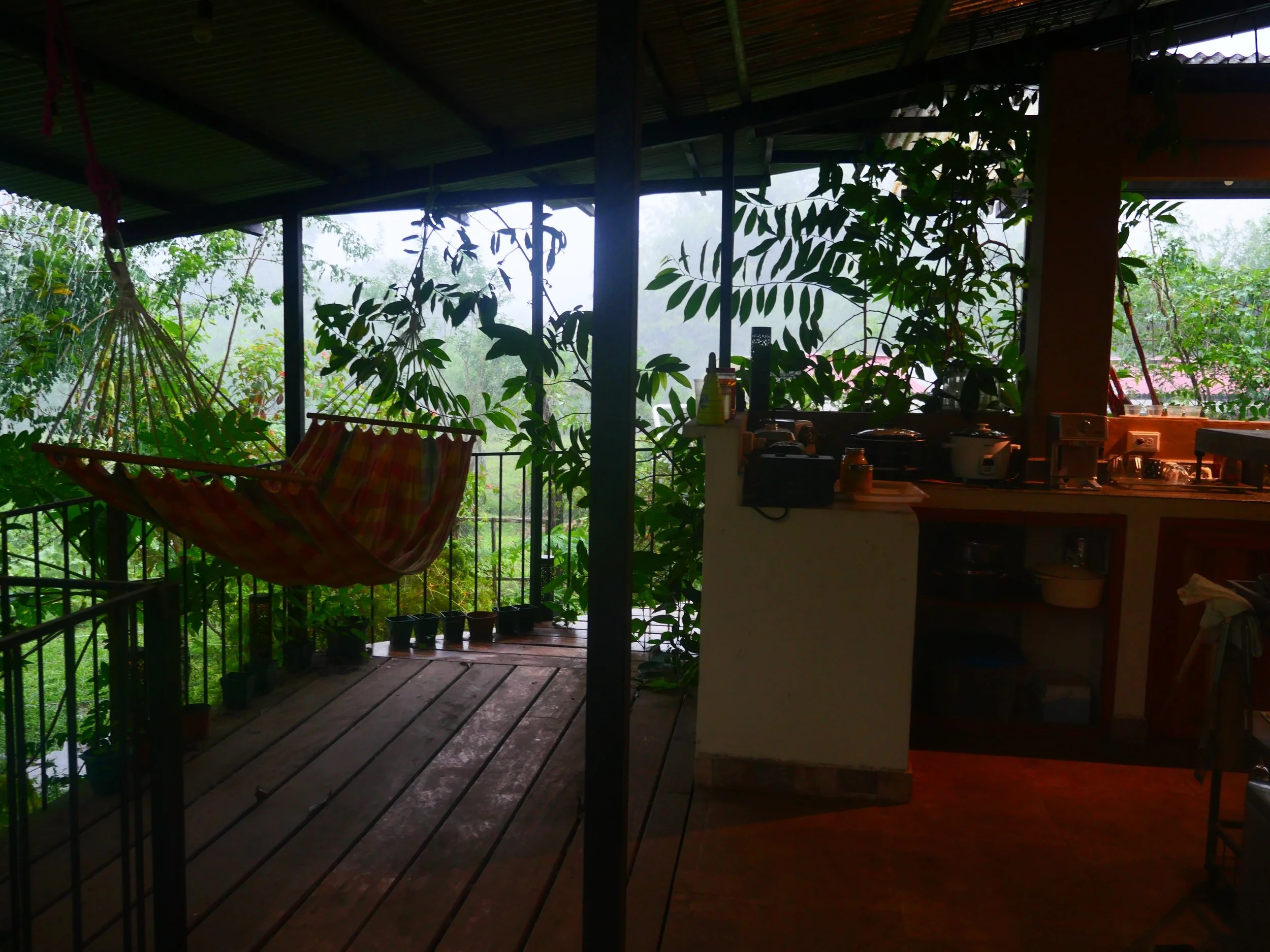 P1041599.JPG