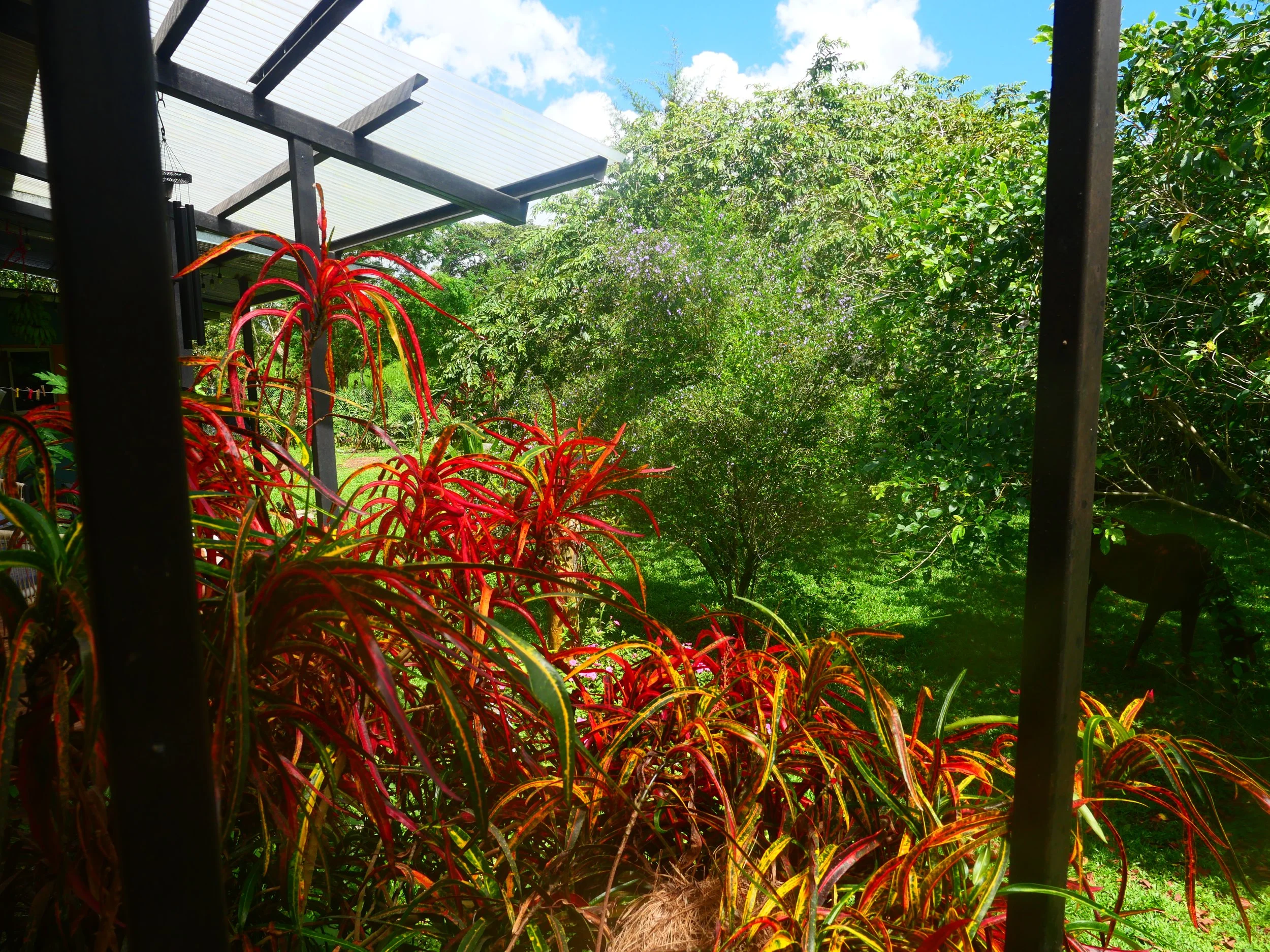 P1041455.JPG