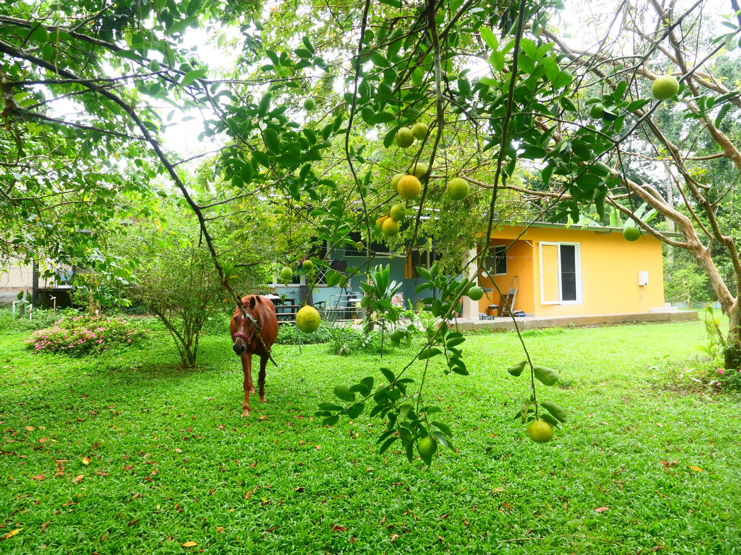 P1052394.JPG