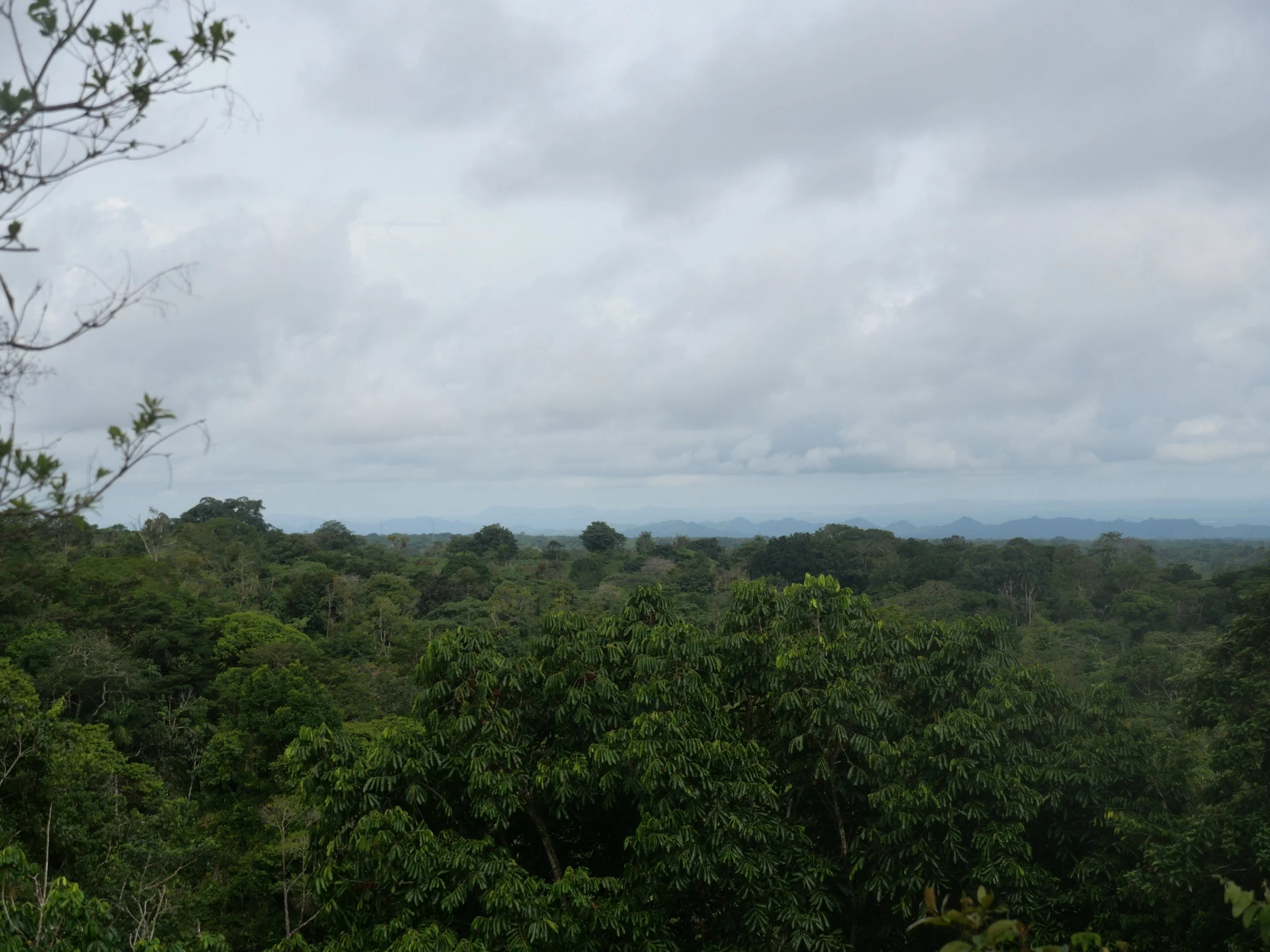 P1052186 - Copy.JPG