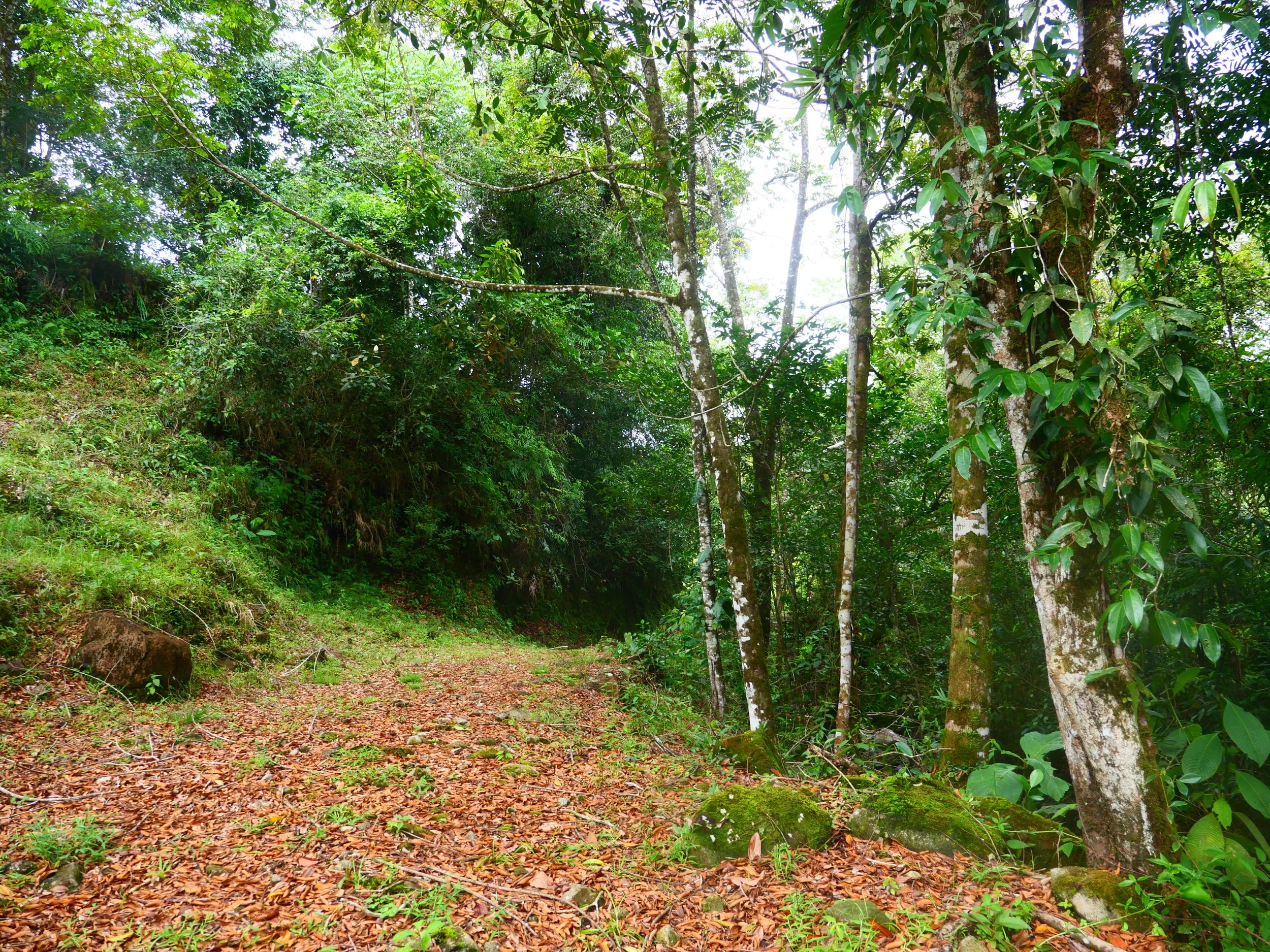 P1052211 - Copy.JPG