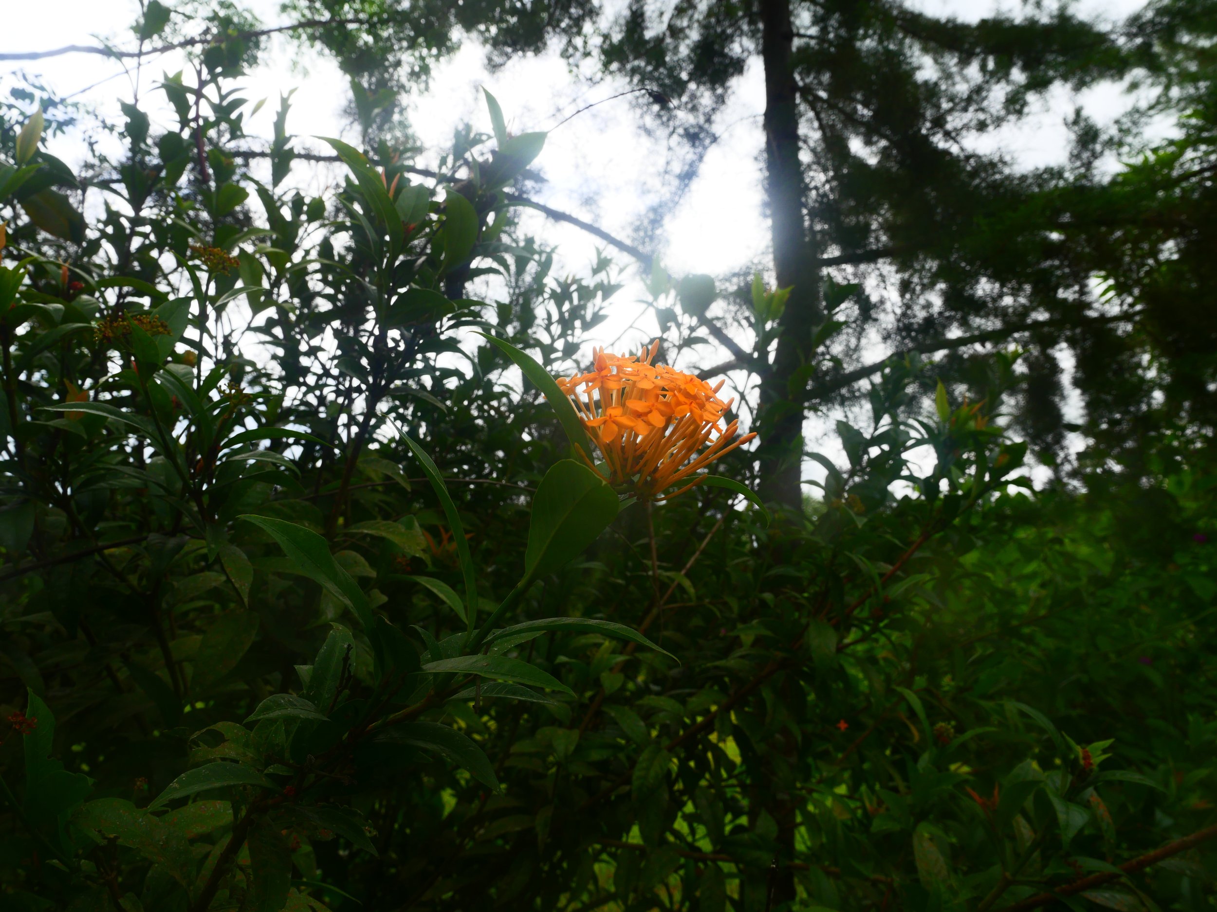 P1041519.JPG