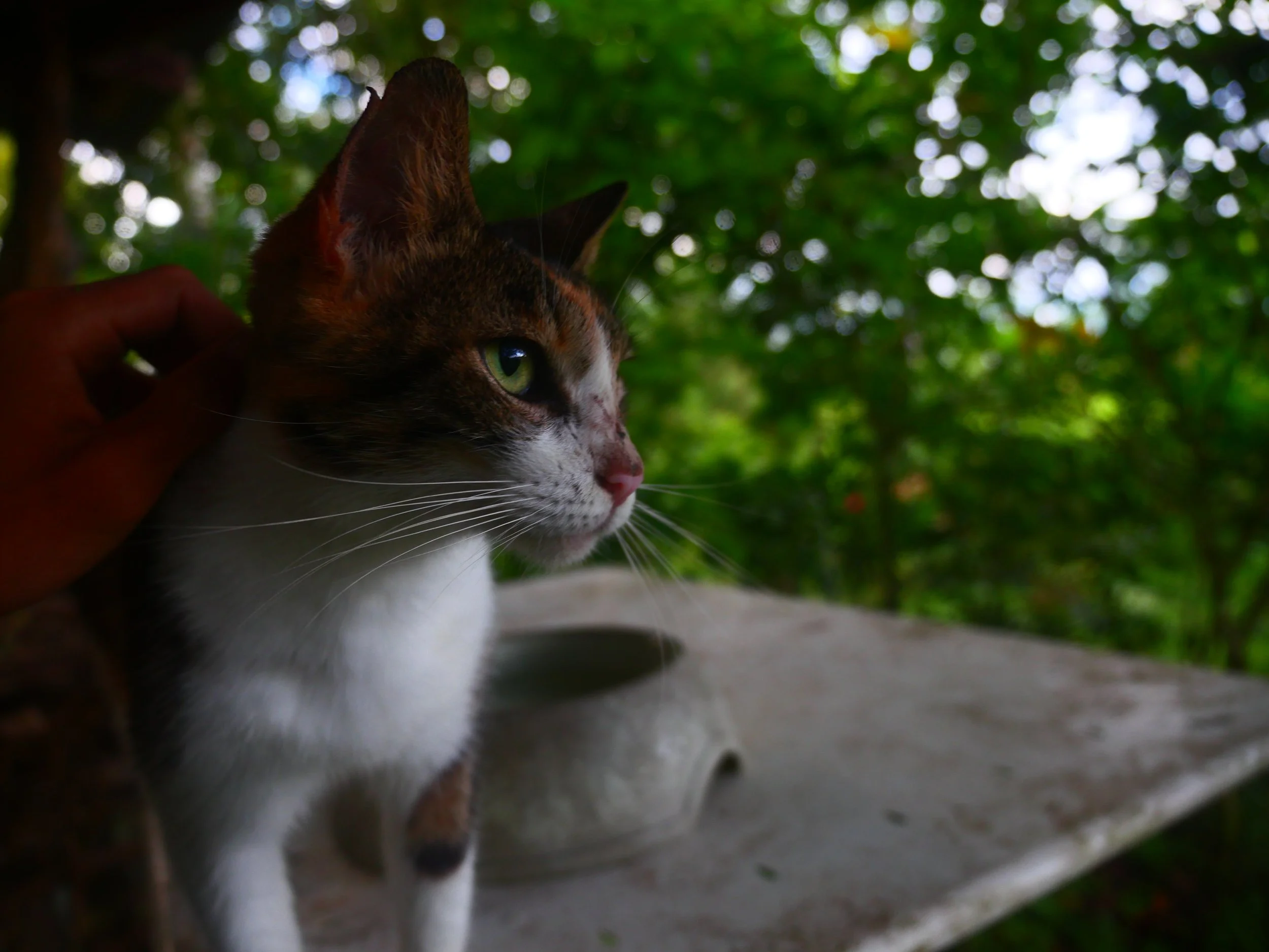P1041666.JPG
