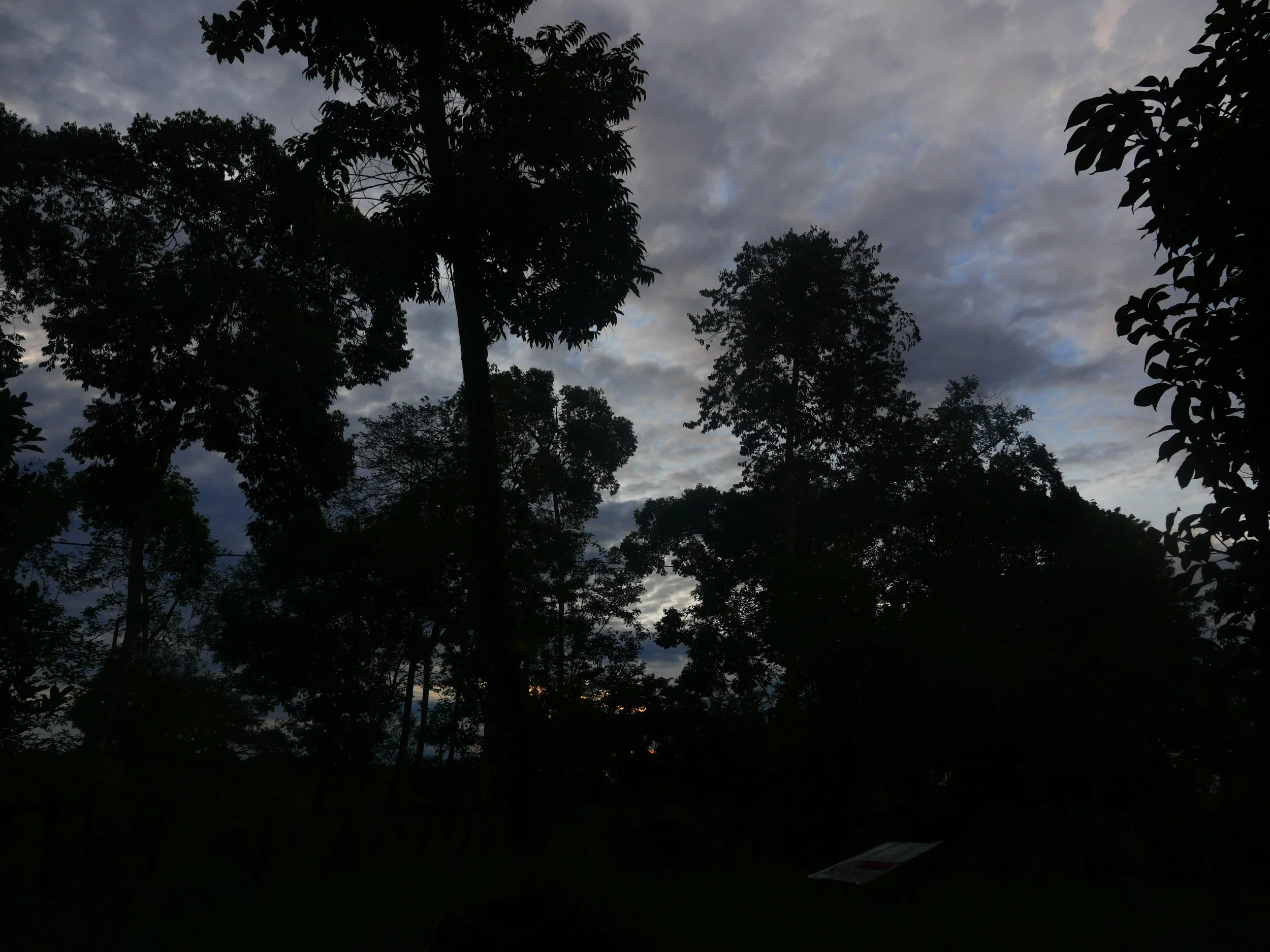 P1041645.JPG