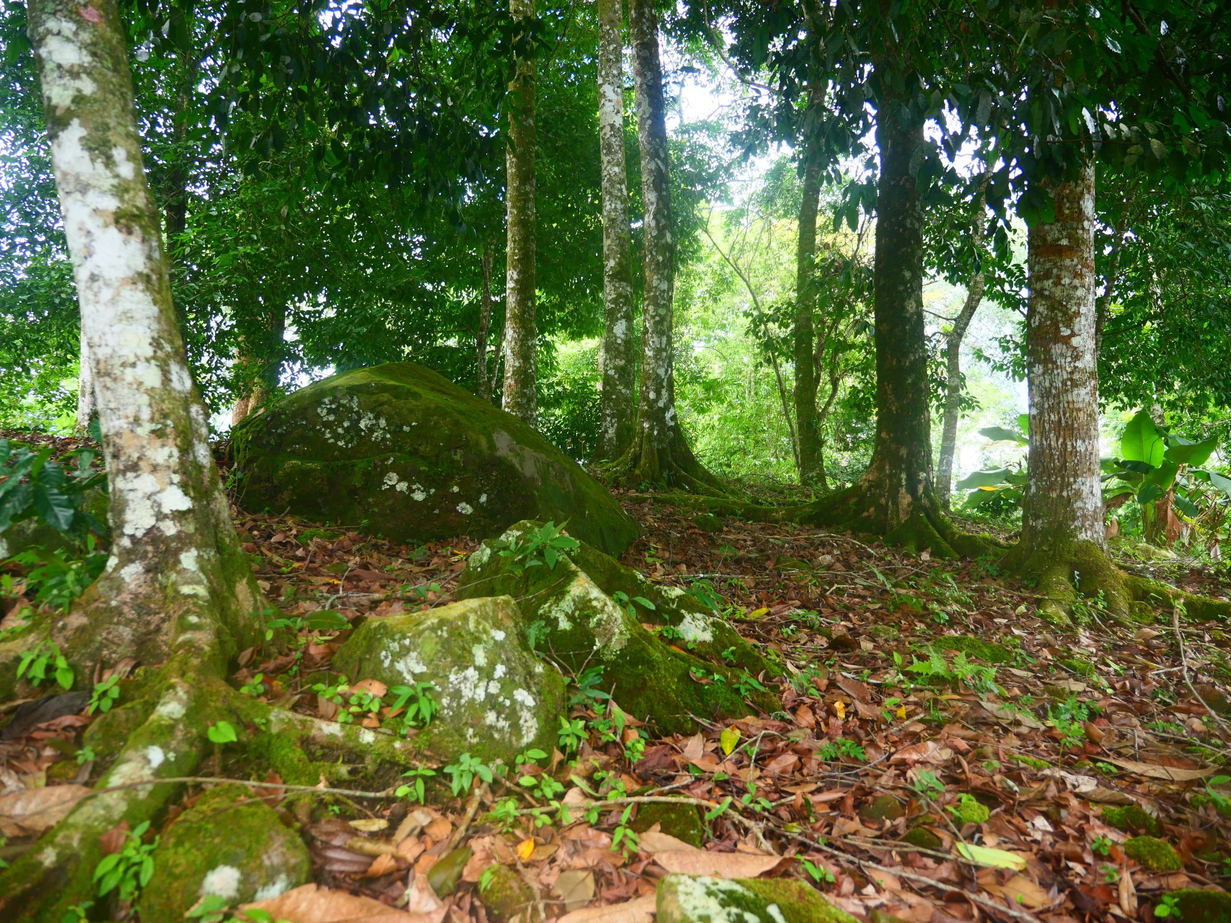 P1041511.JPG