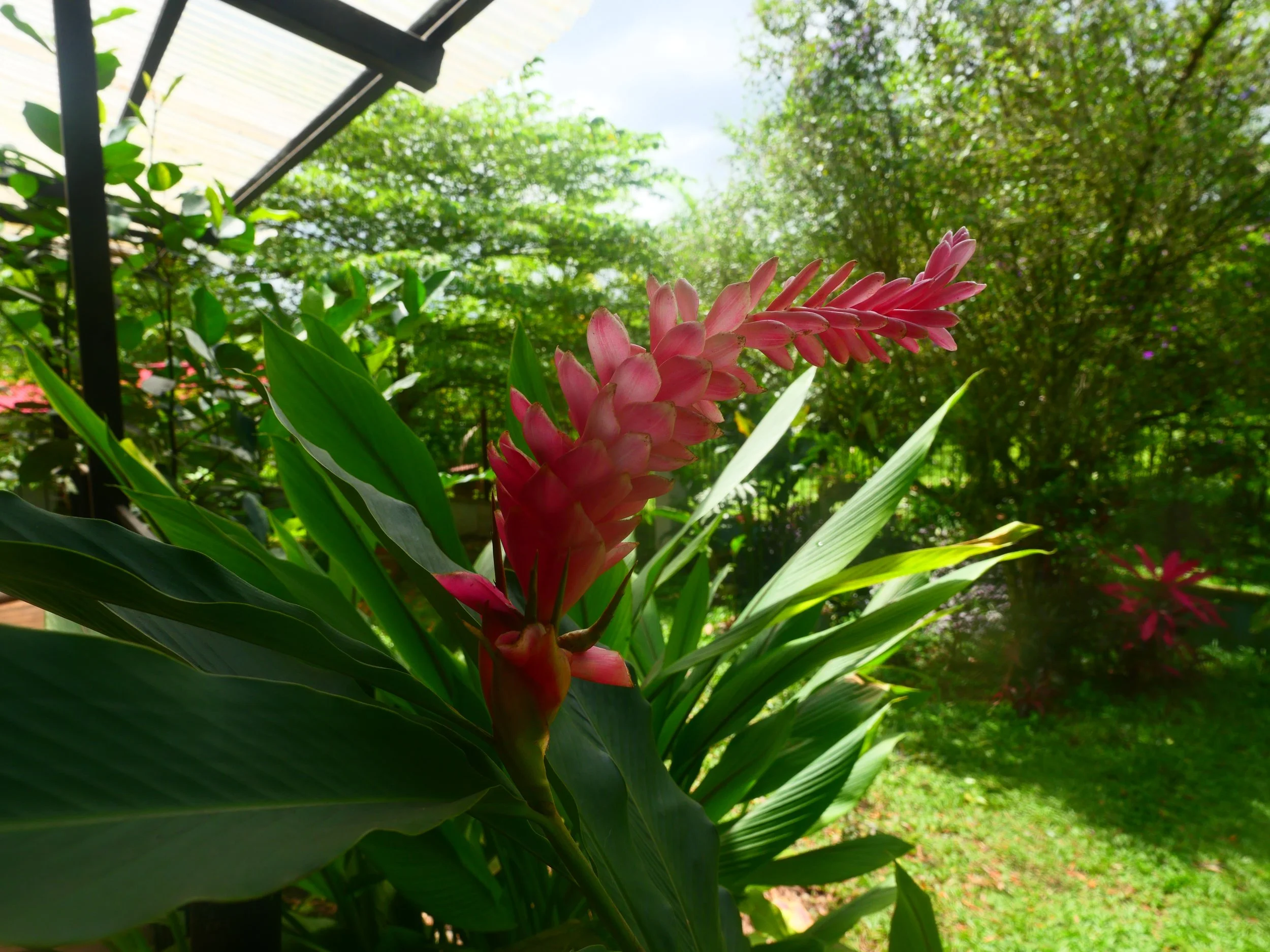 P1041449.JPG