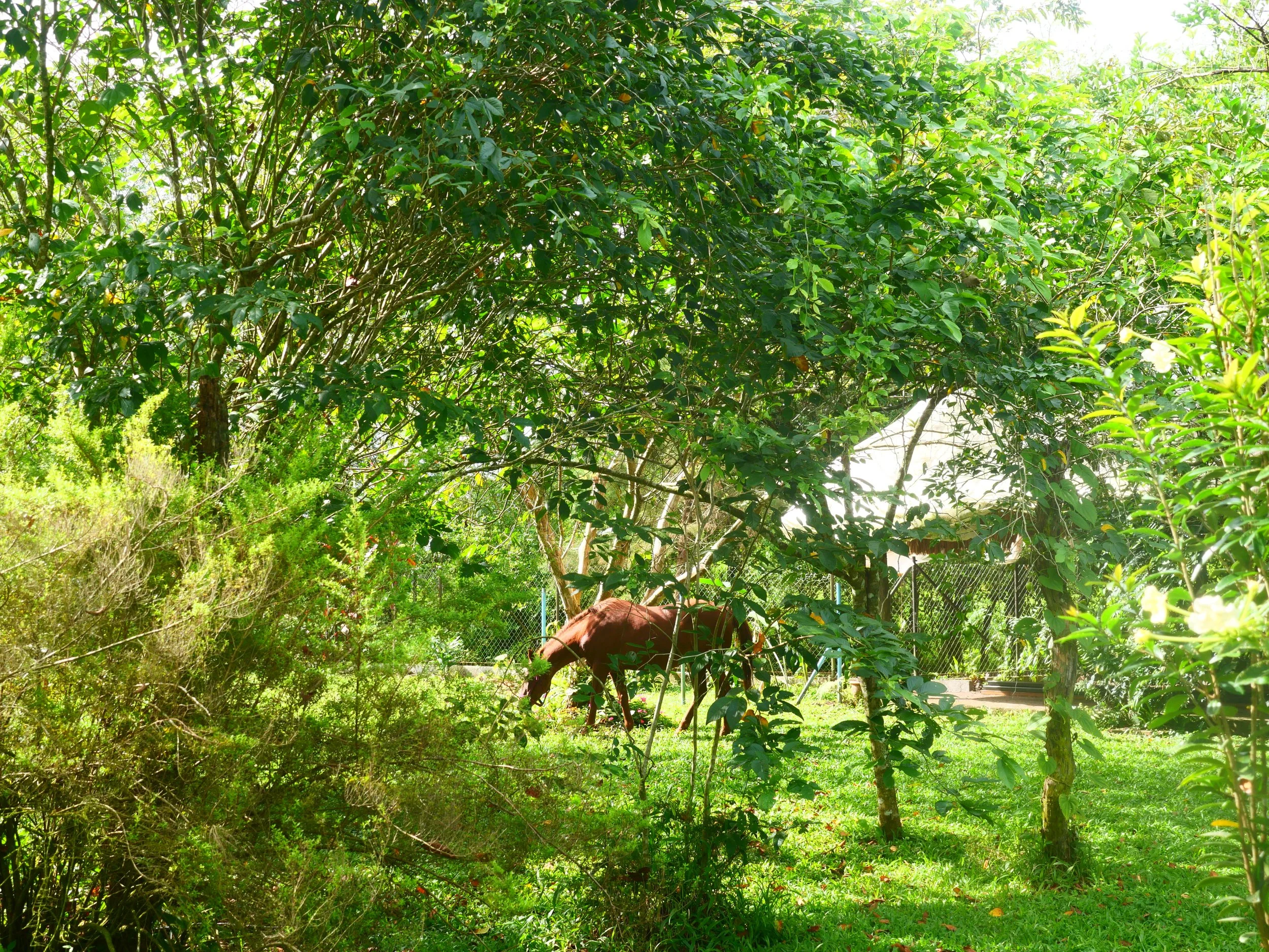 P1052333.JPG