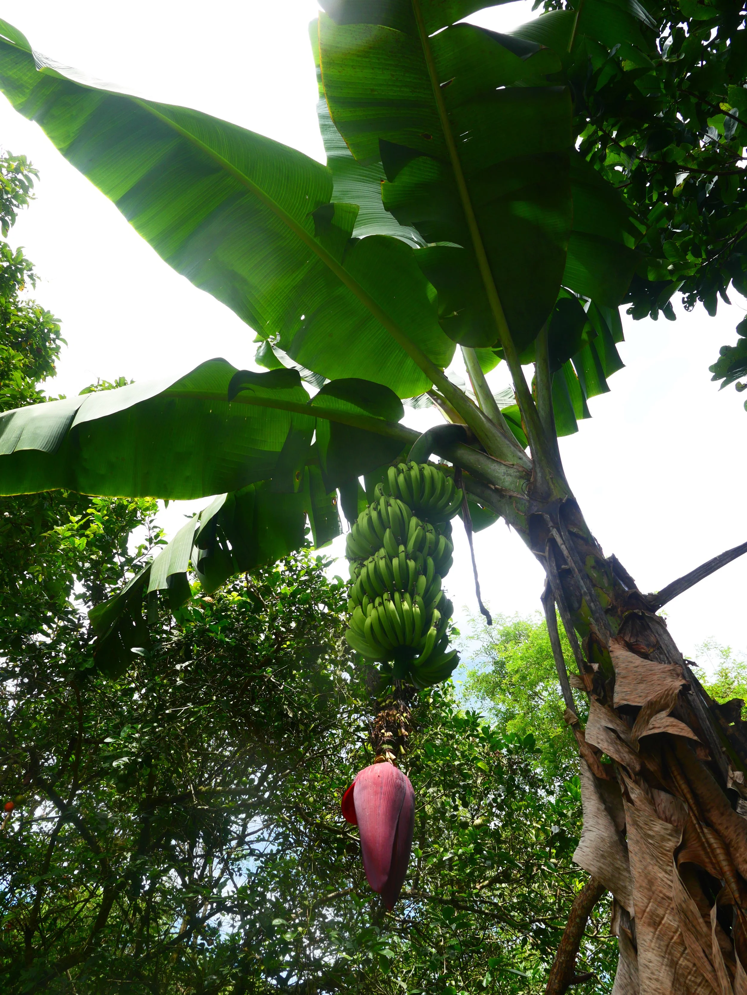 P1052473.JPG