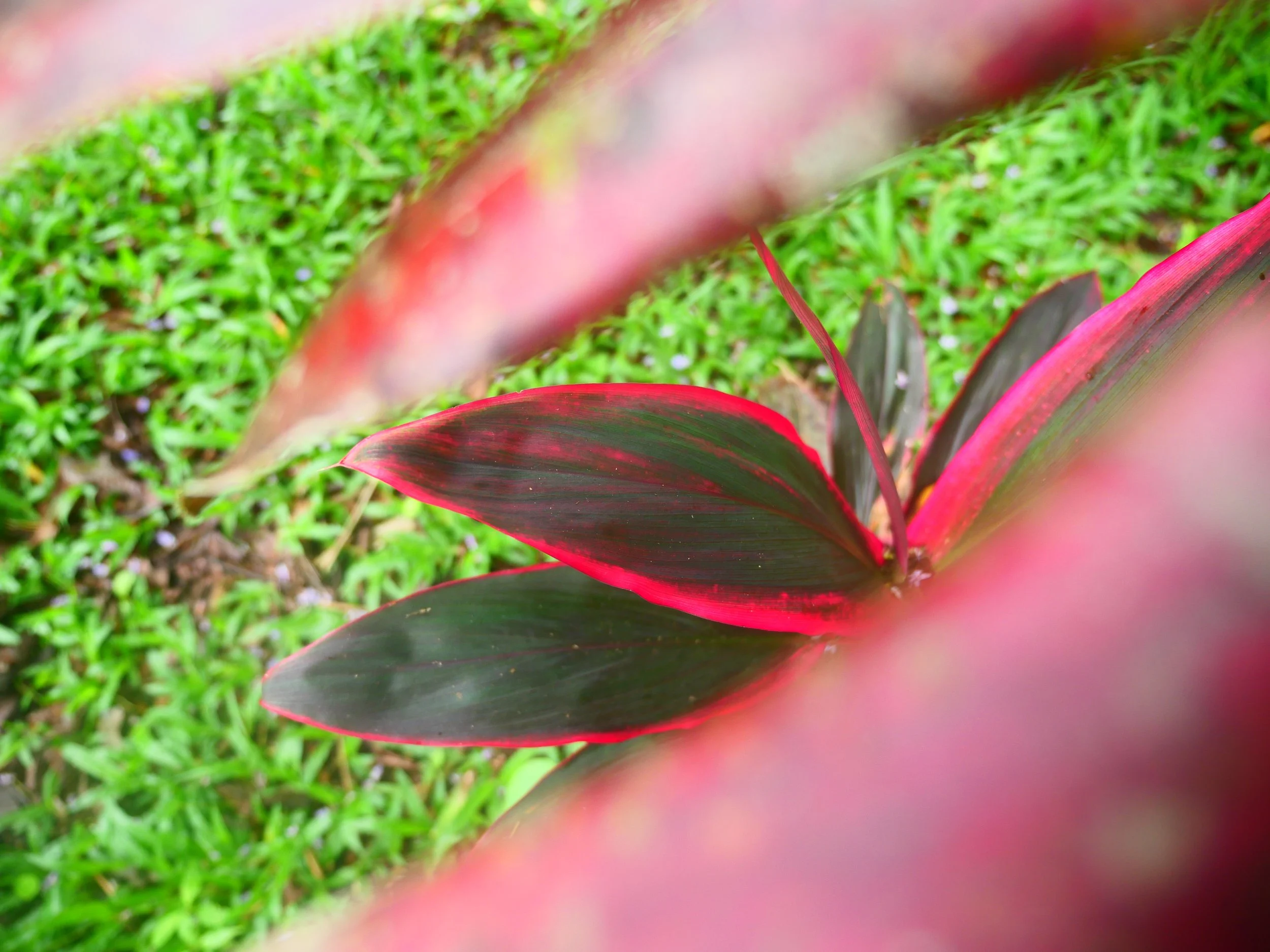 P1041533.JPG