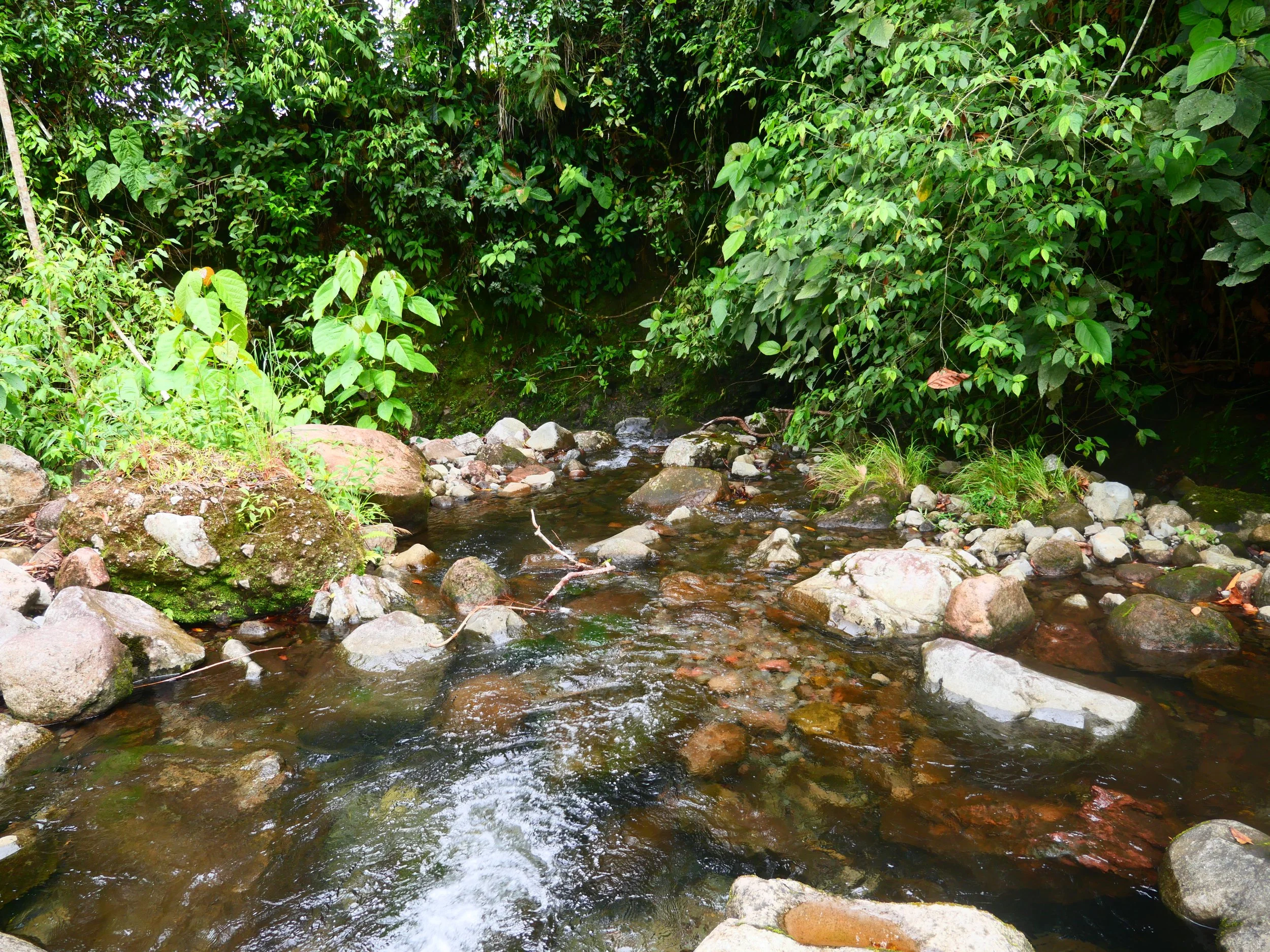 P1052206 - Copy.JPG
