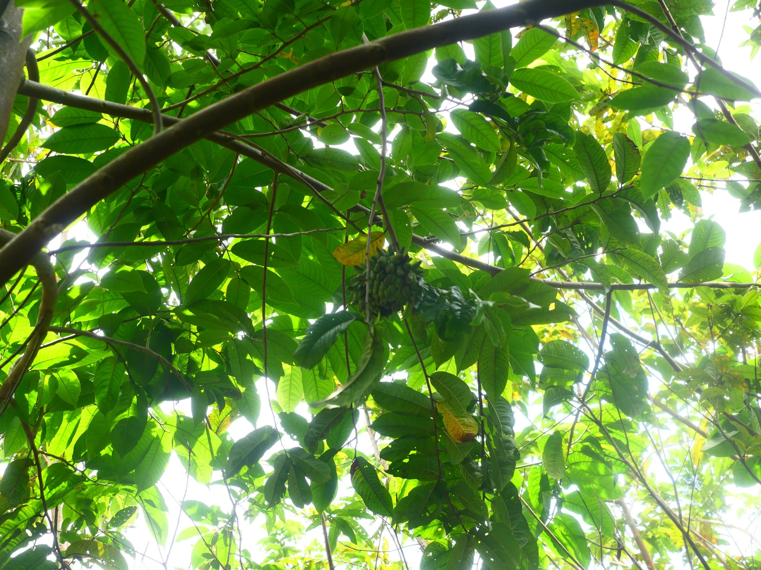 P1052495.JPG