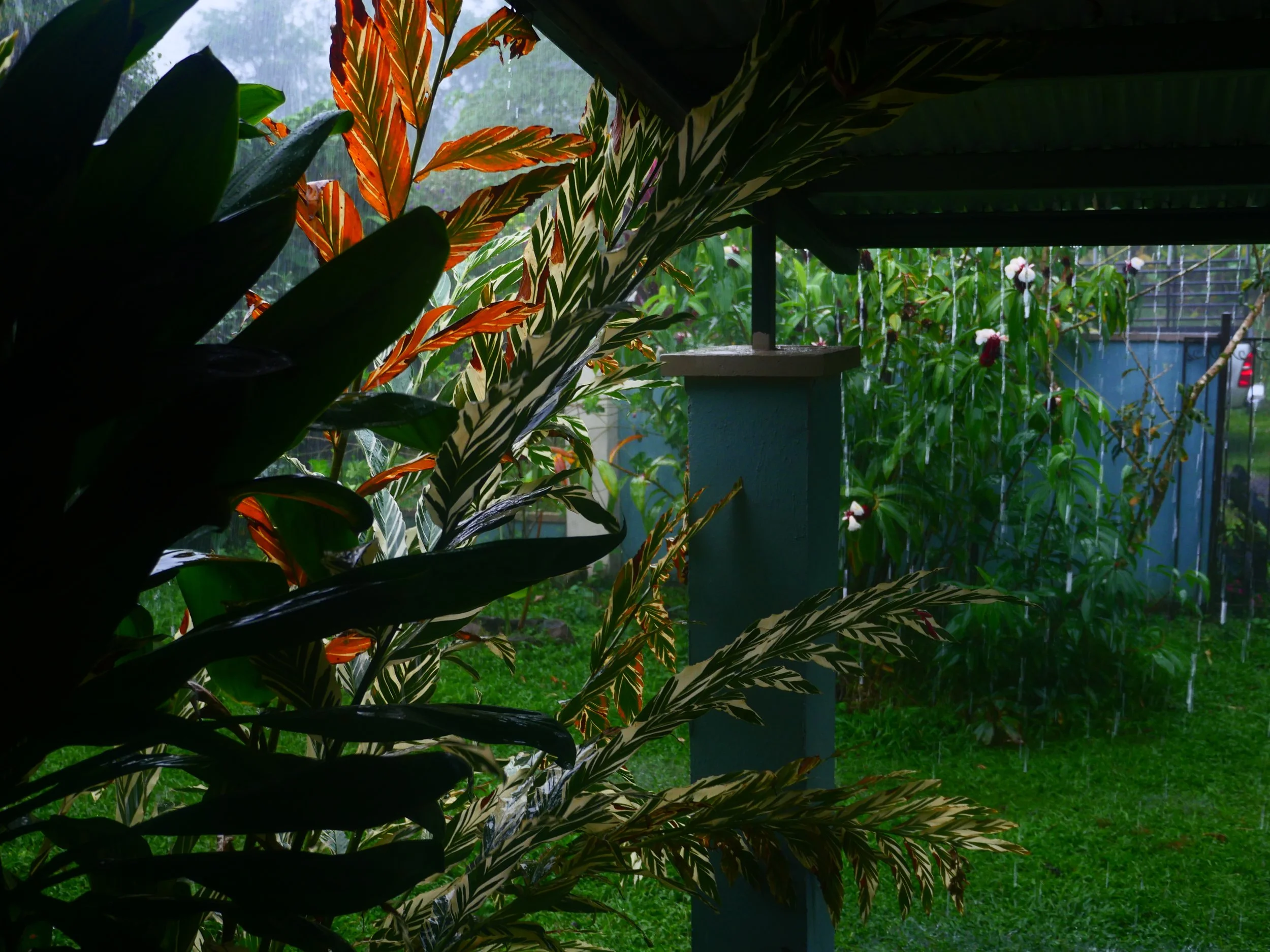 P1041587.JPG