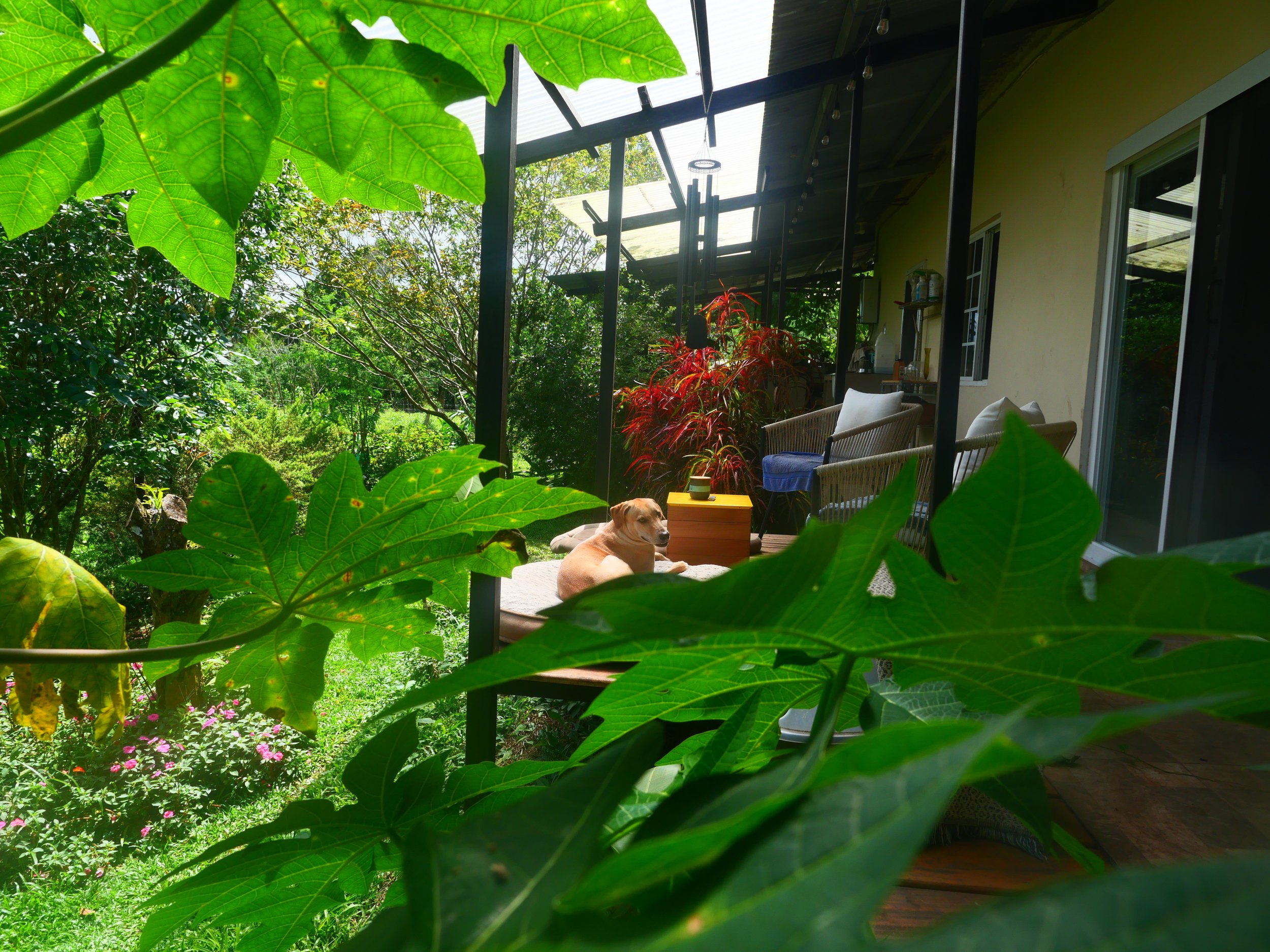 P1041469.JPG