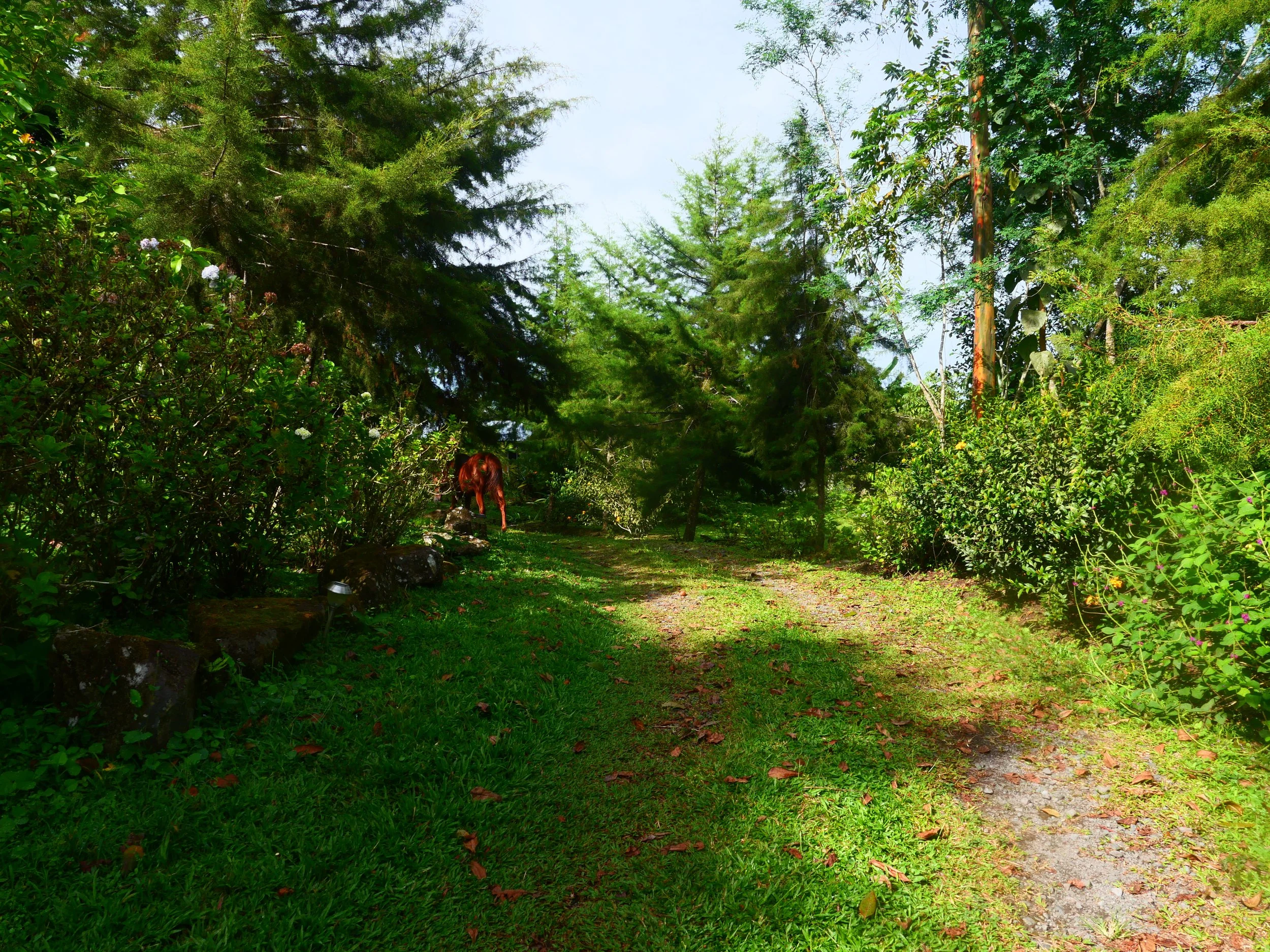 P1052328 - Copy.JPG