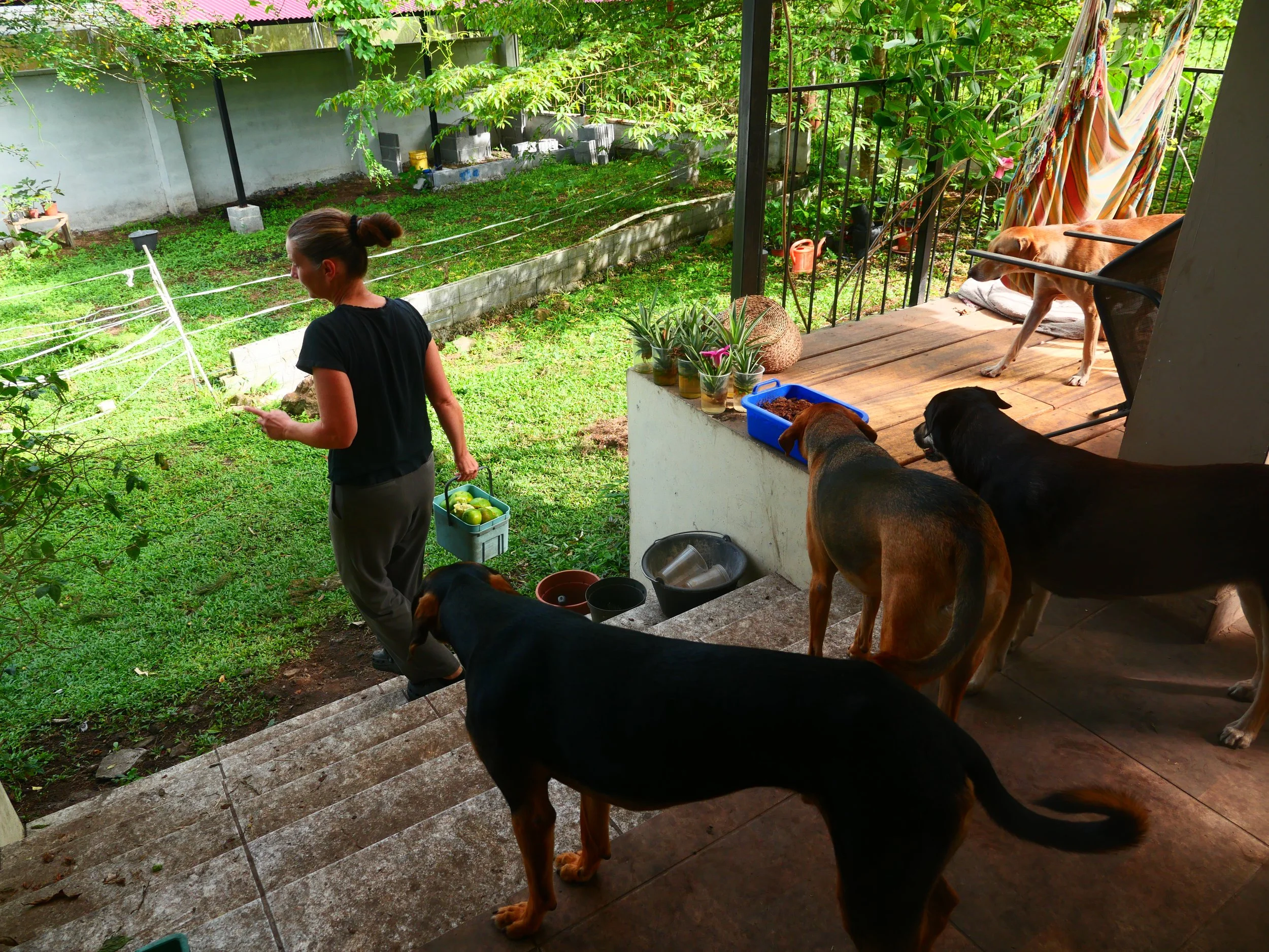 P1052297 - Copy.JPG