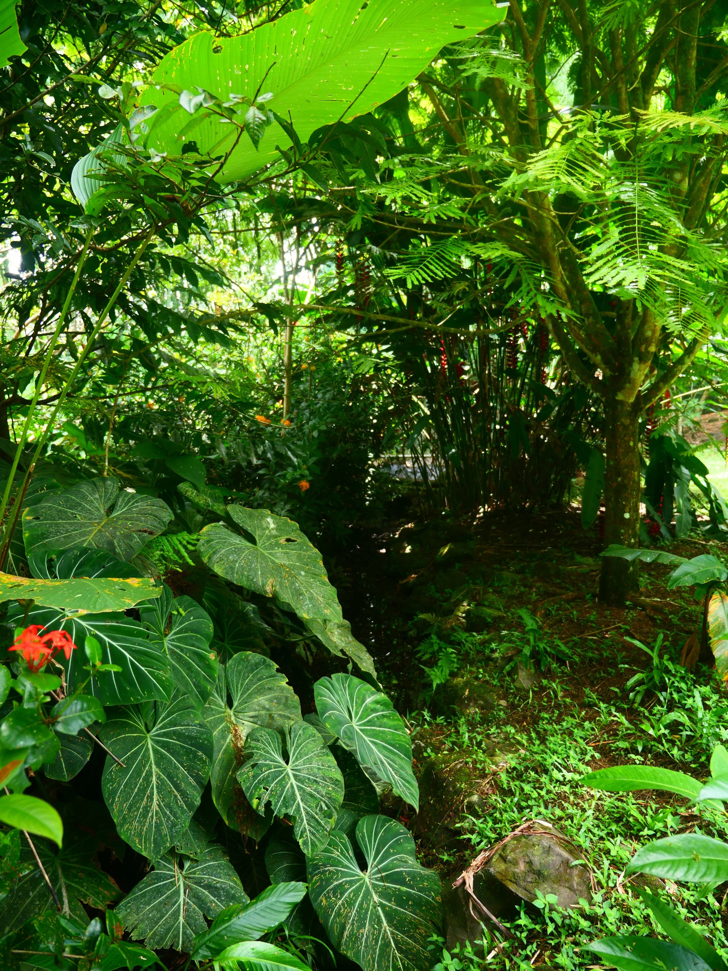 P1052446.JPG