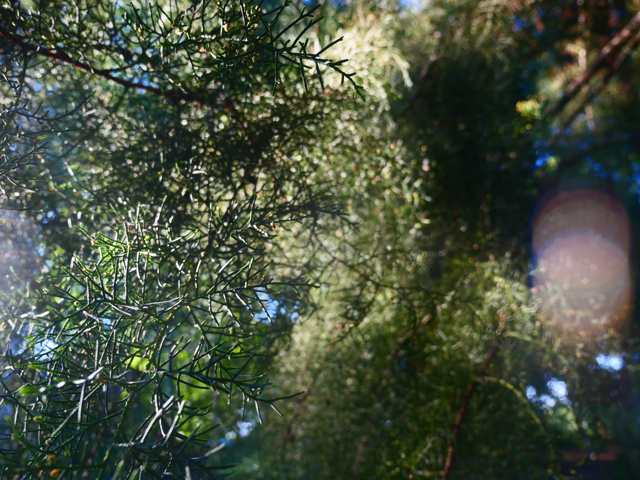 P1052099.JPG