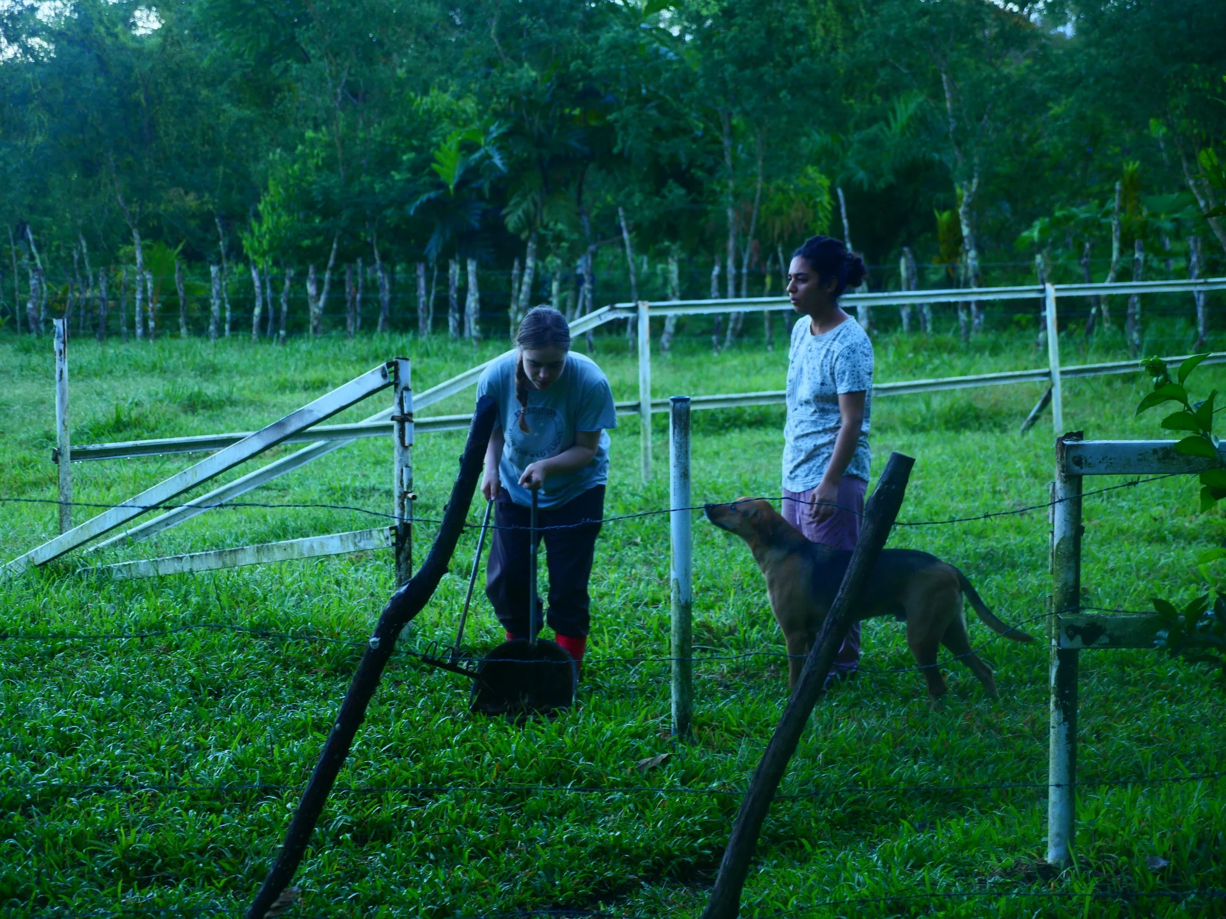 P1051960 - Copy.JPG