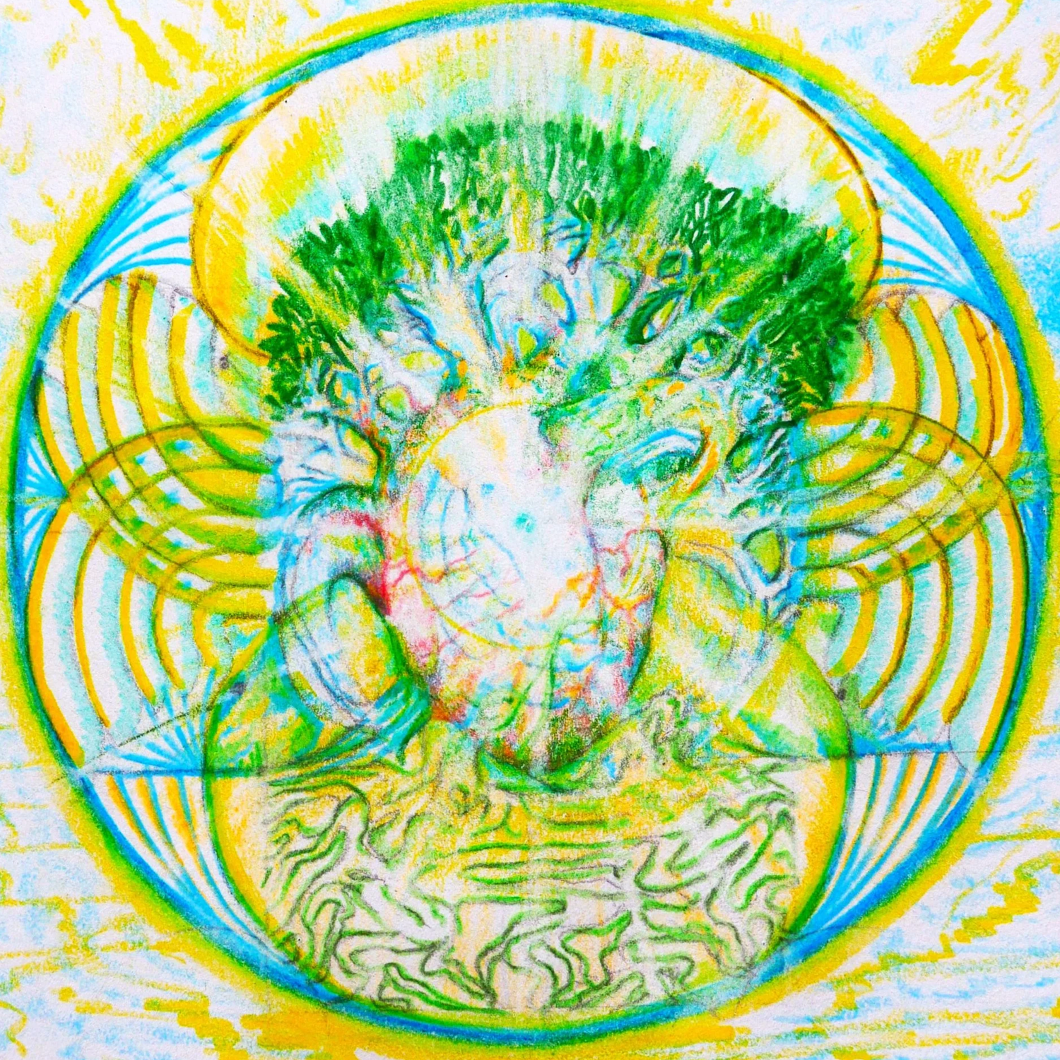 CORAZON DE LA LUZ