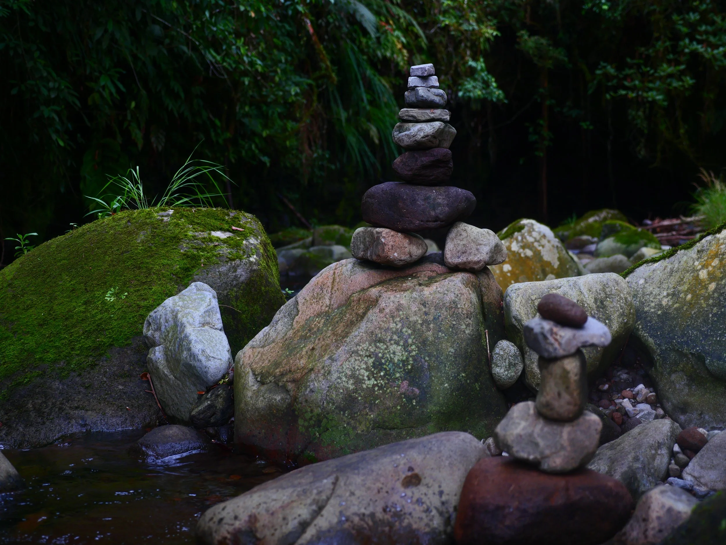 P1052230 - Copy.JPG