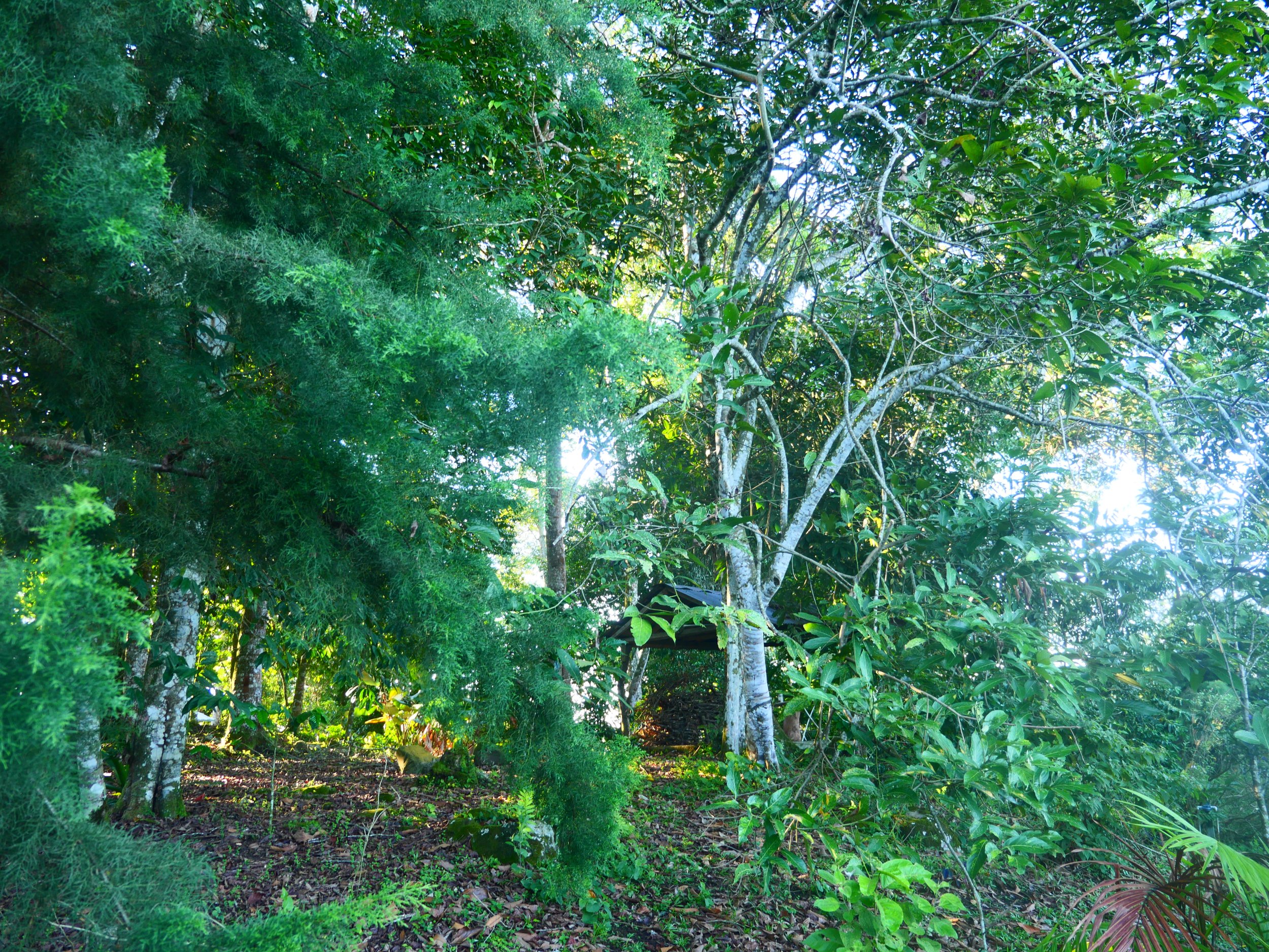 P1052102 - Copy.JPG