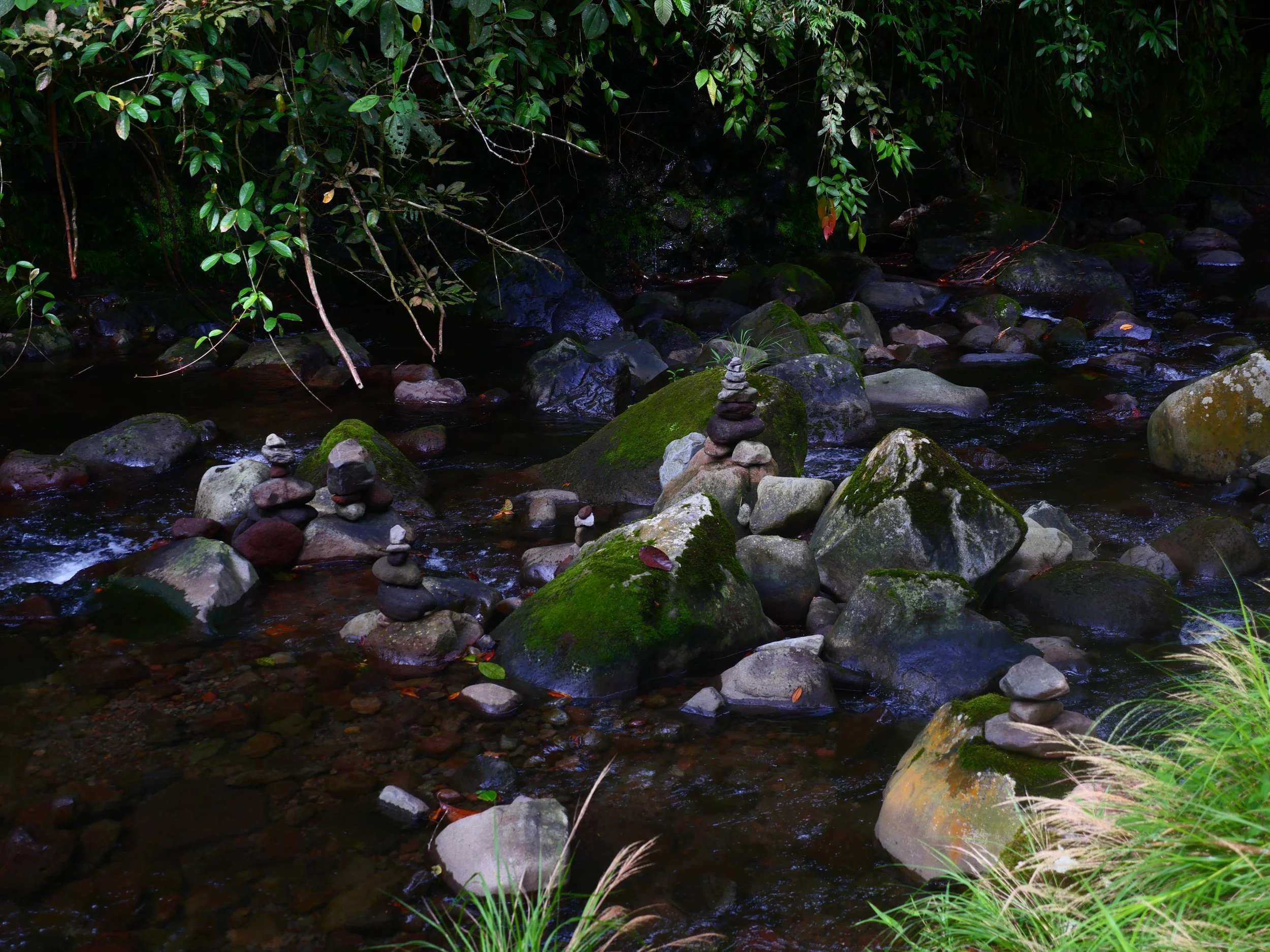 P1052214 - Copy.JPG