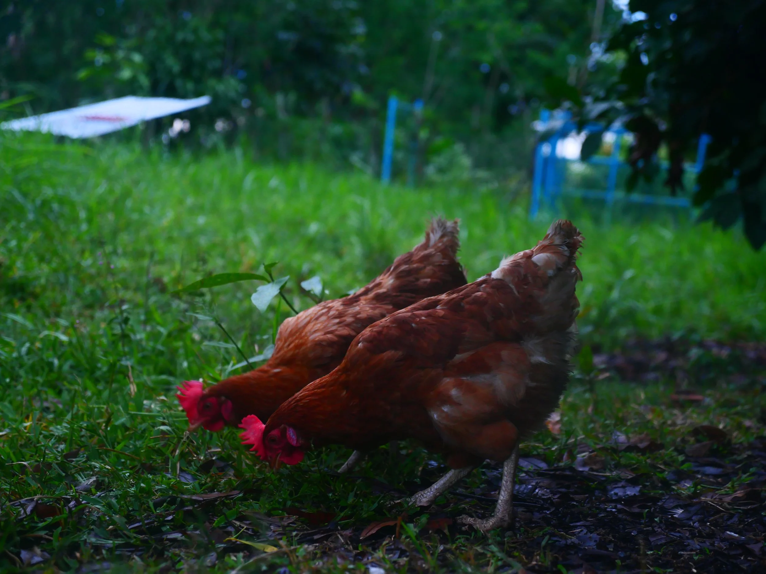 P1041643.JPG