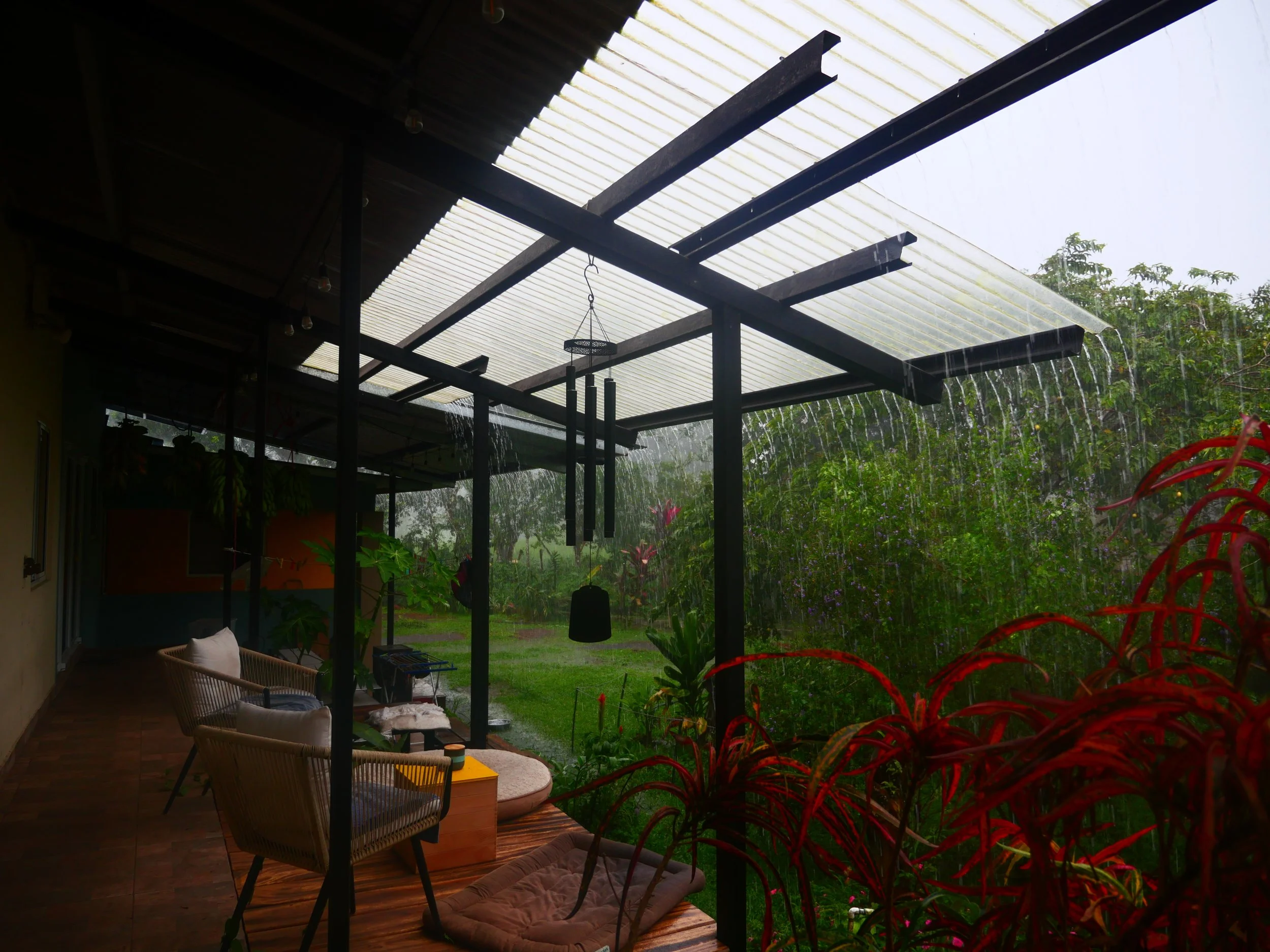 P1041597.JPG
