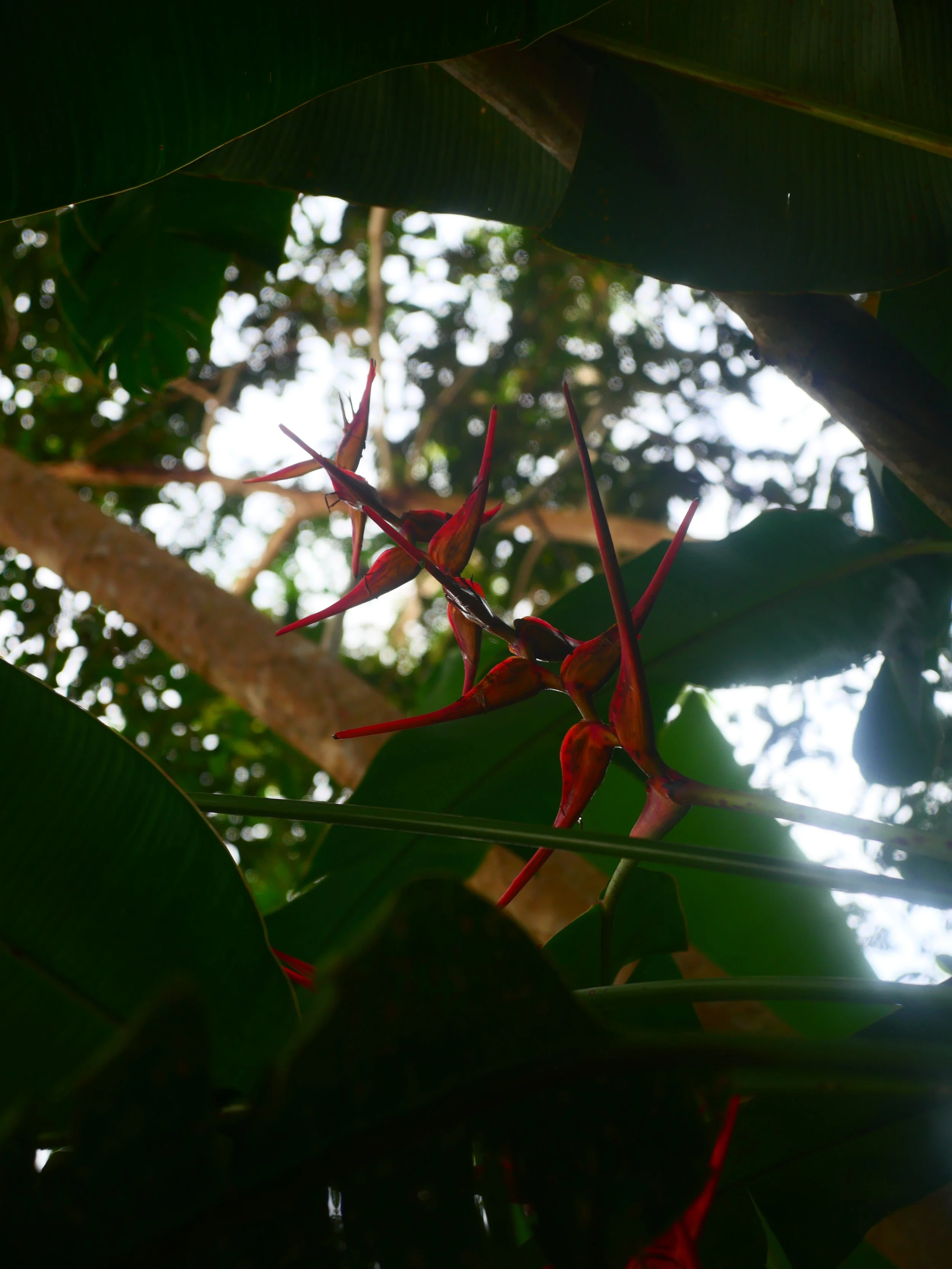P1041683.JPG