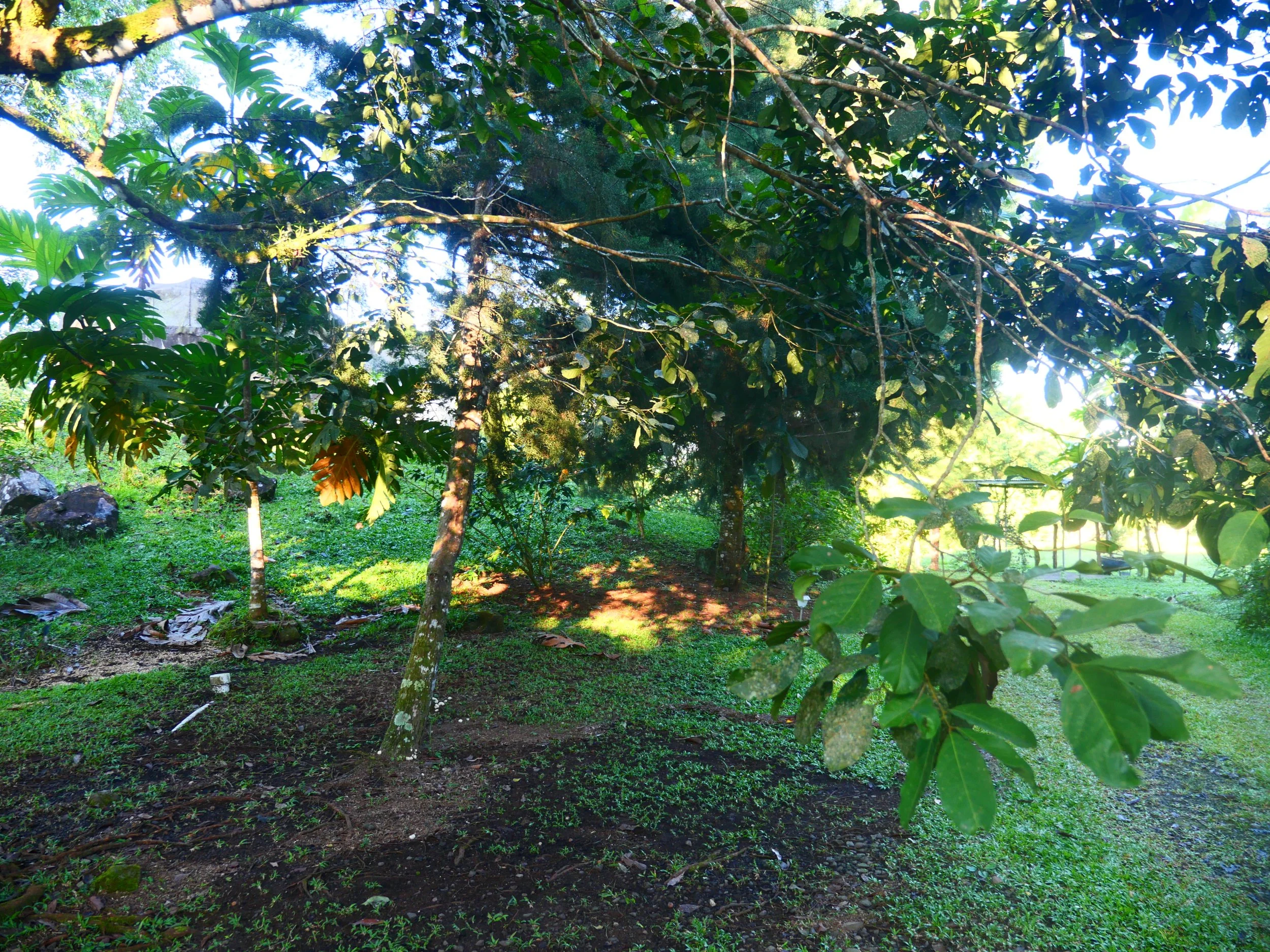 P1052090 - Copy.JPG