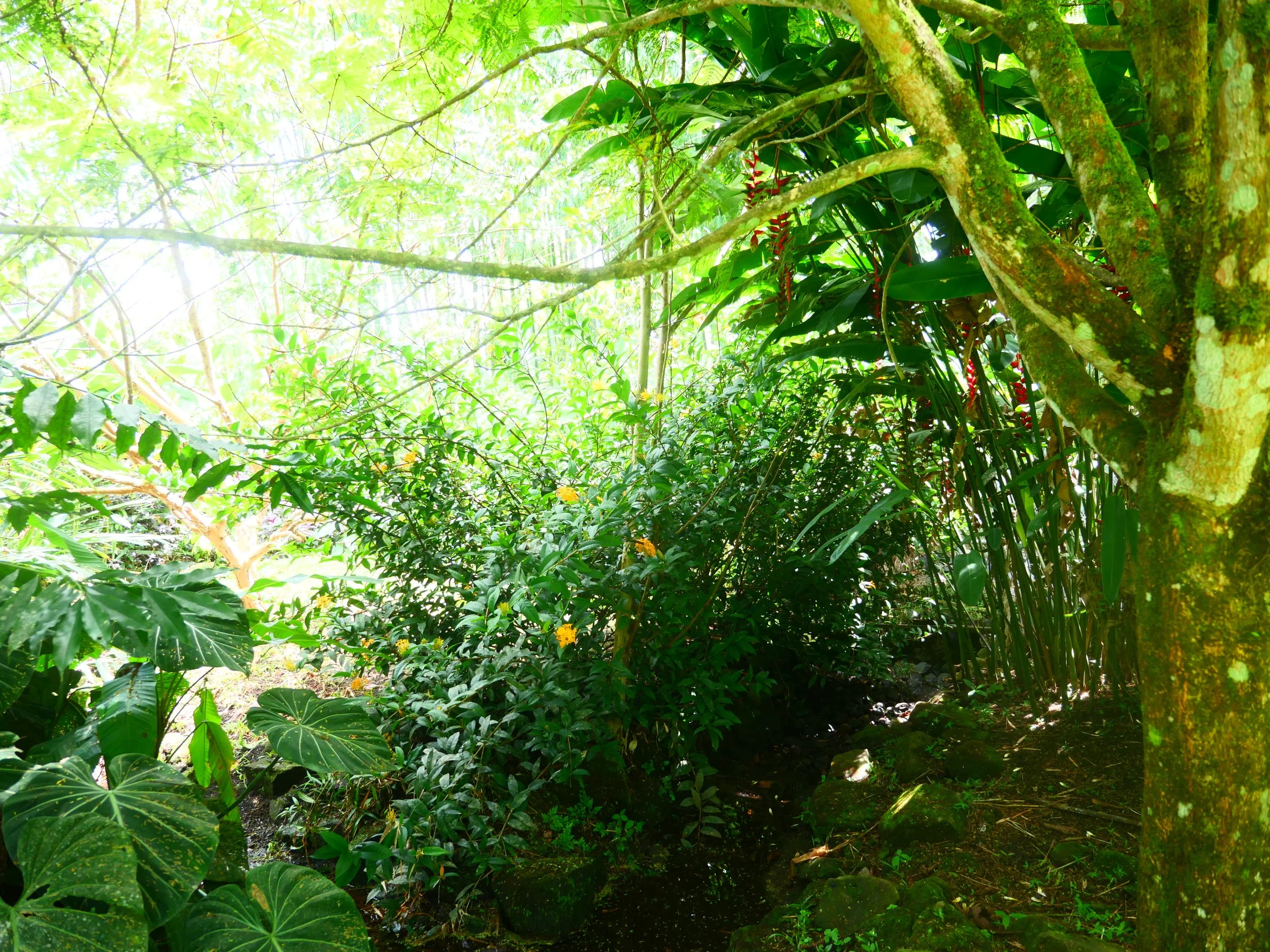 P1052443.JPG