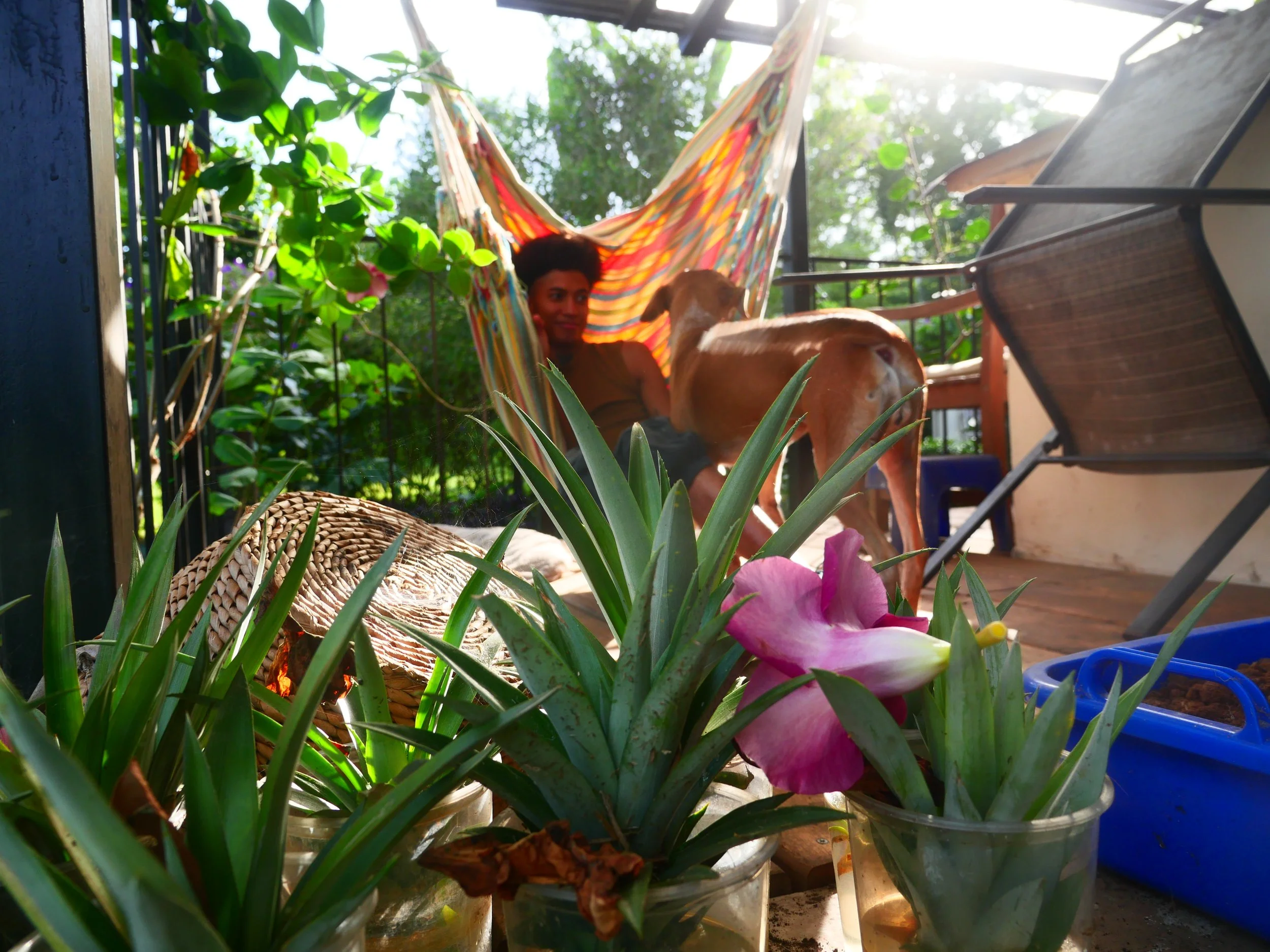 P1052258 - Copy.JPG