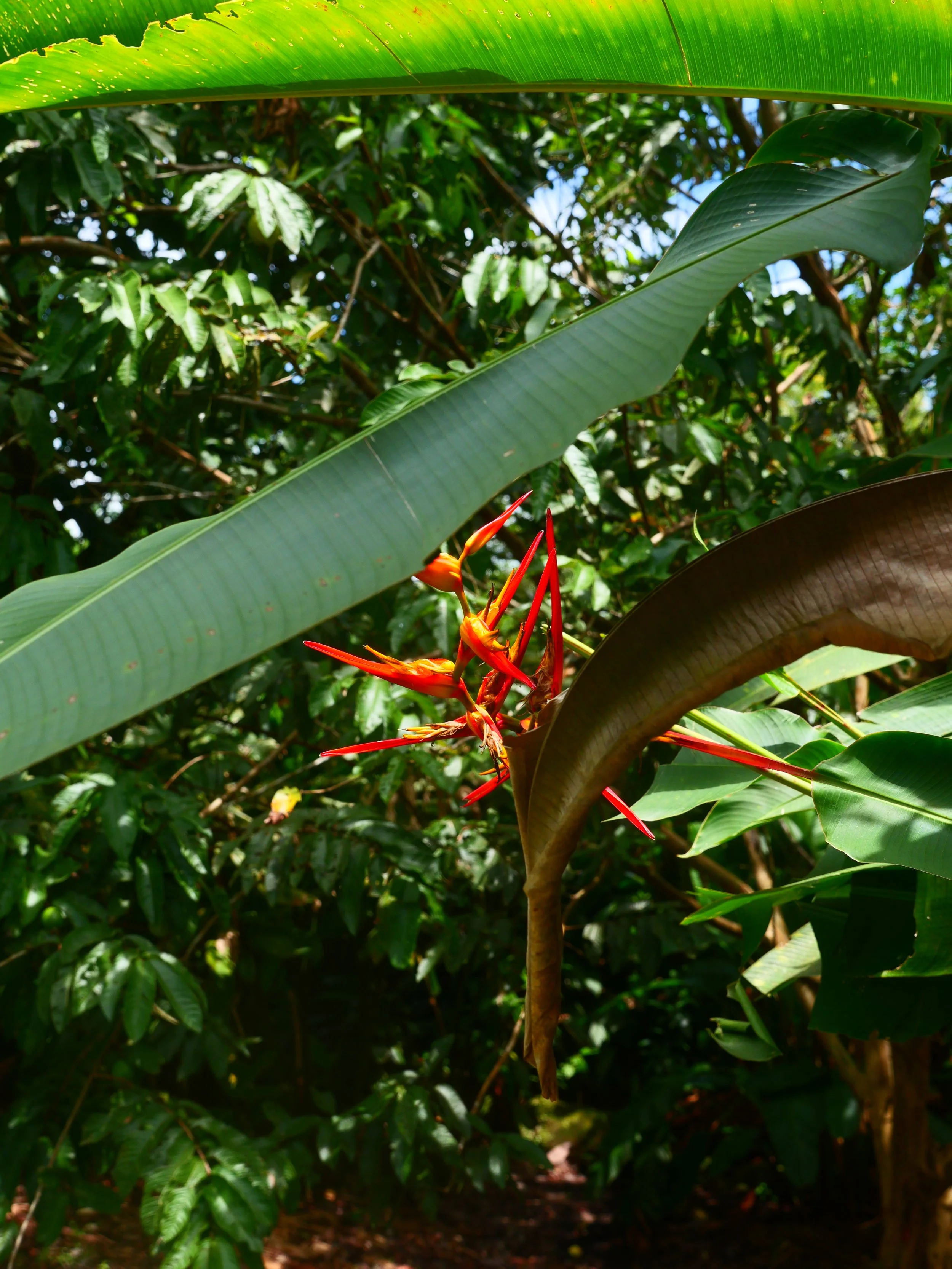 P1052454.JPG