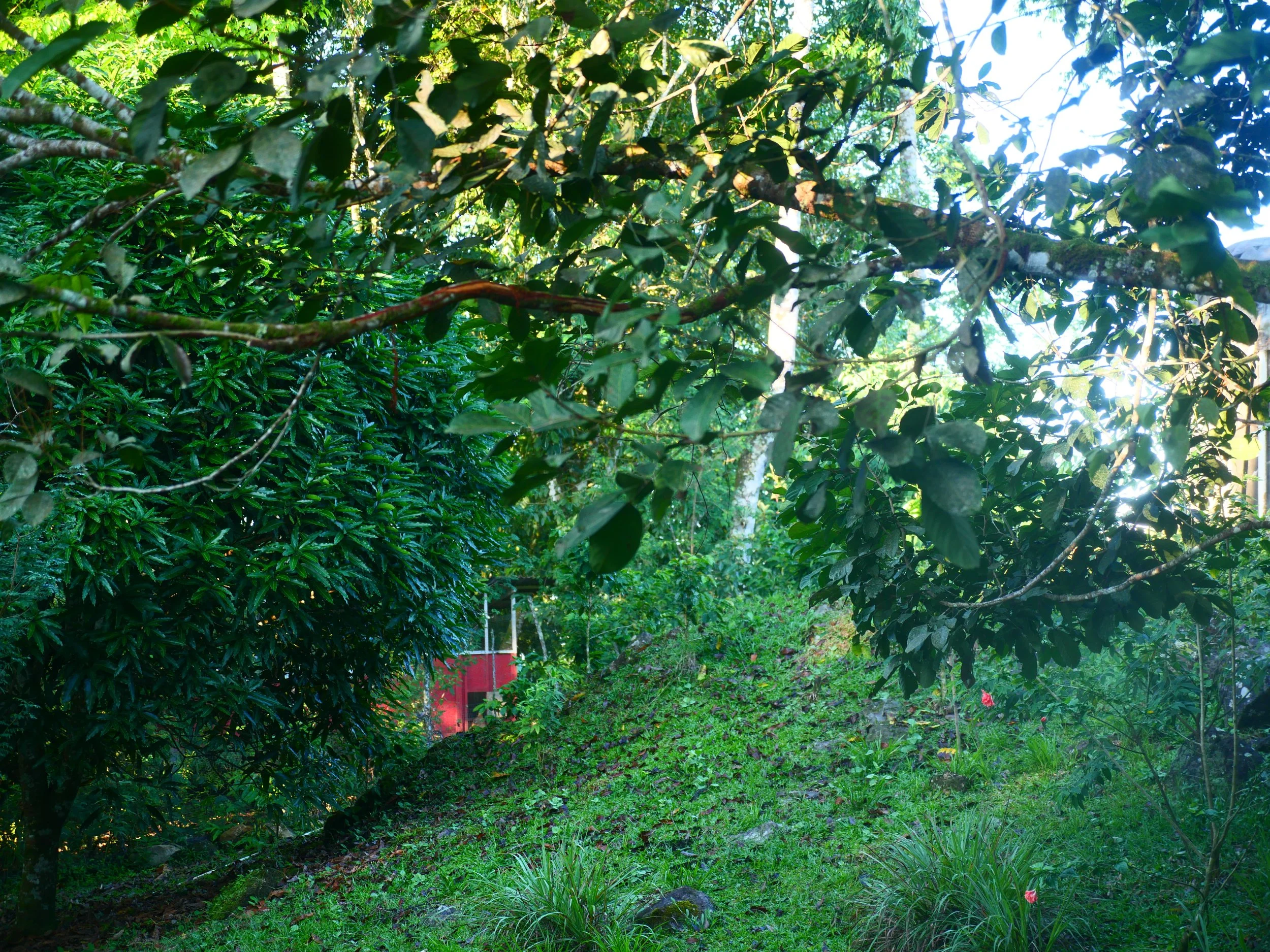 P1052088 - Copy.JPG