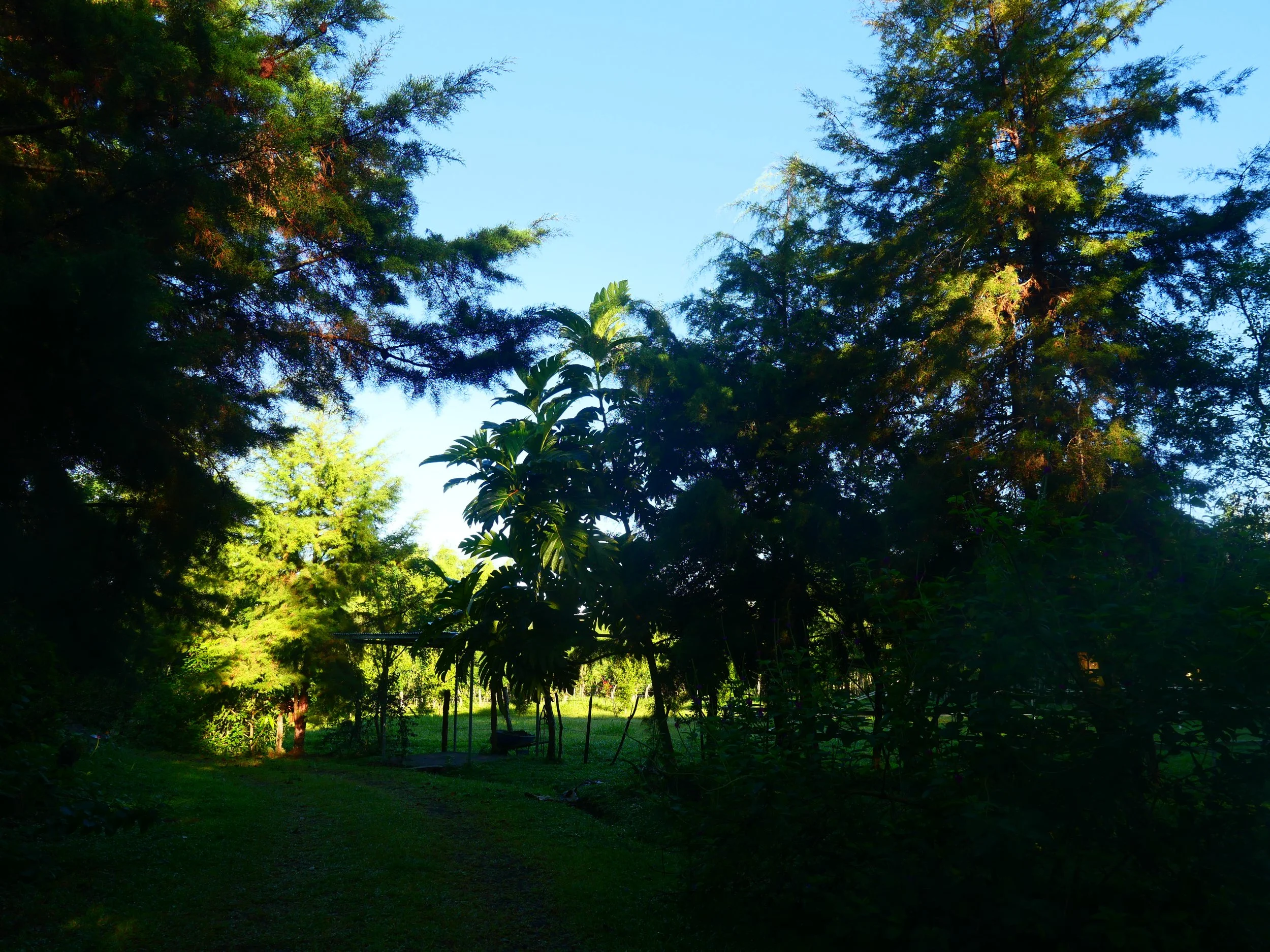 P1052091 - Copy.JPG