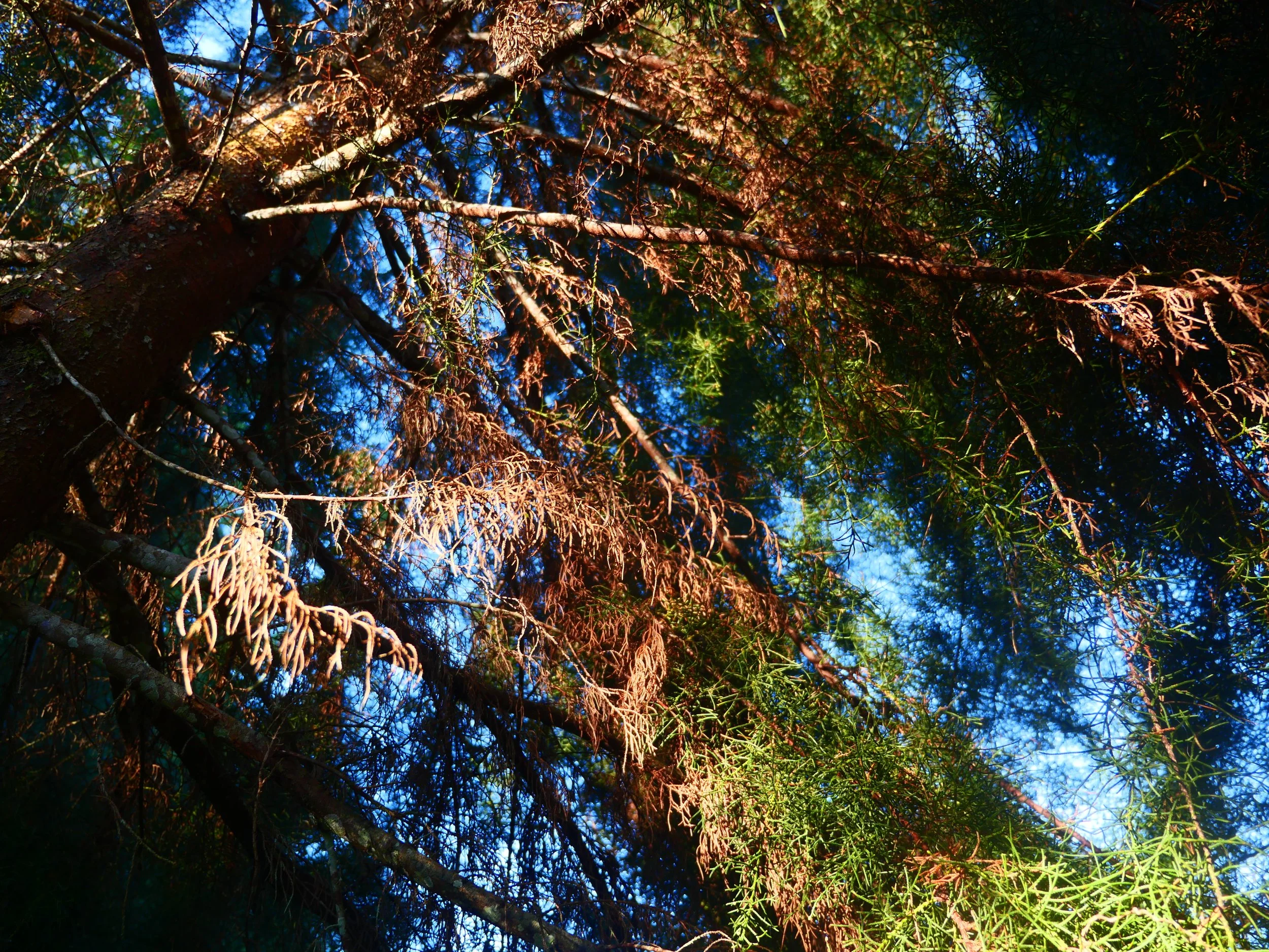 P1052100.JPG