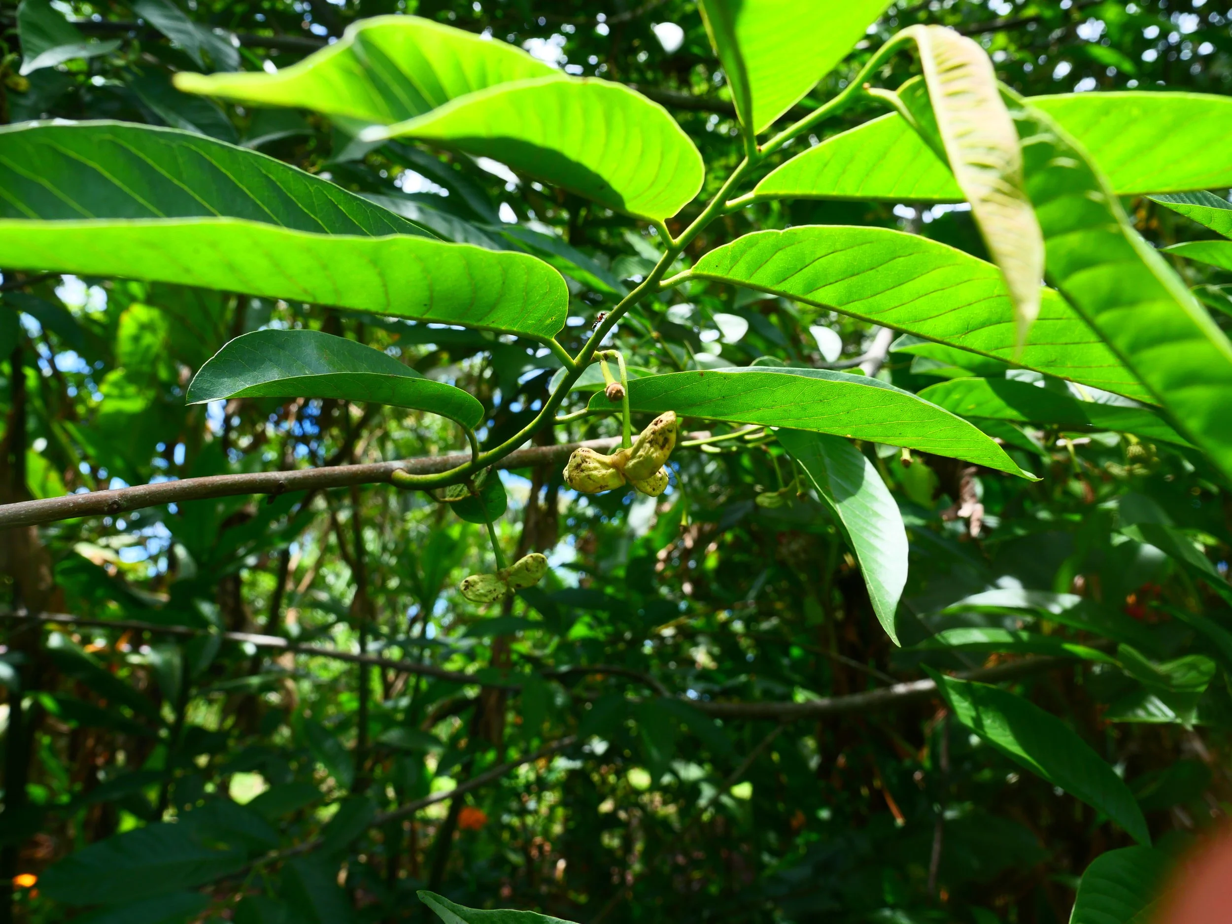 P1052492.JPG