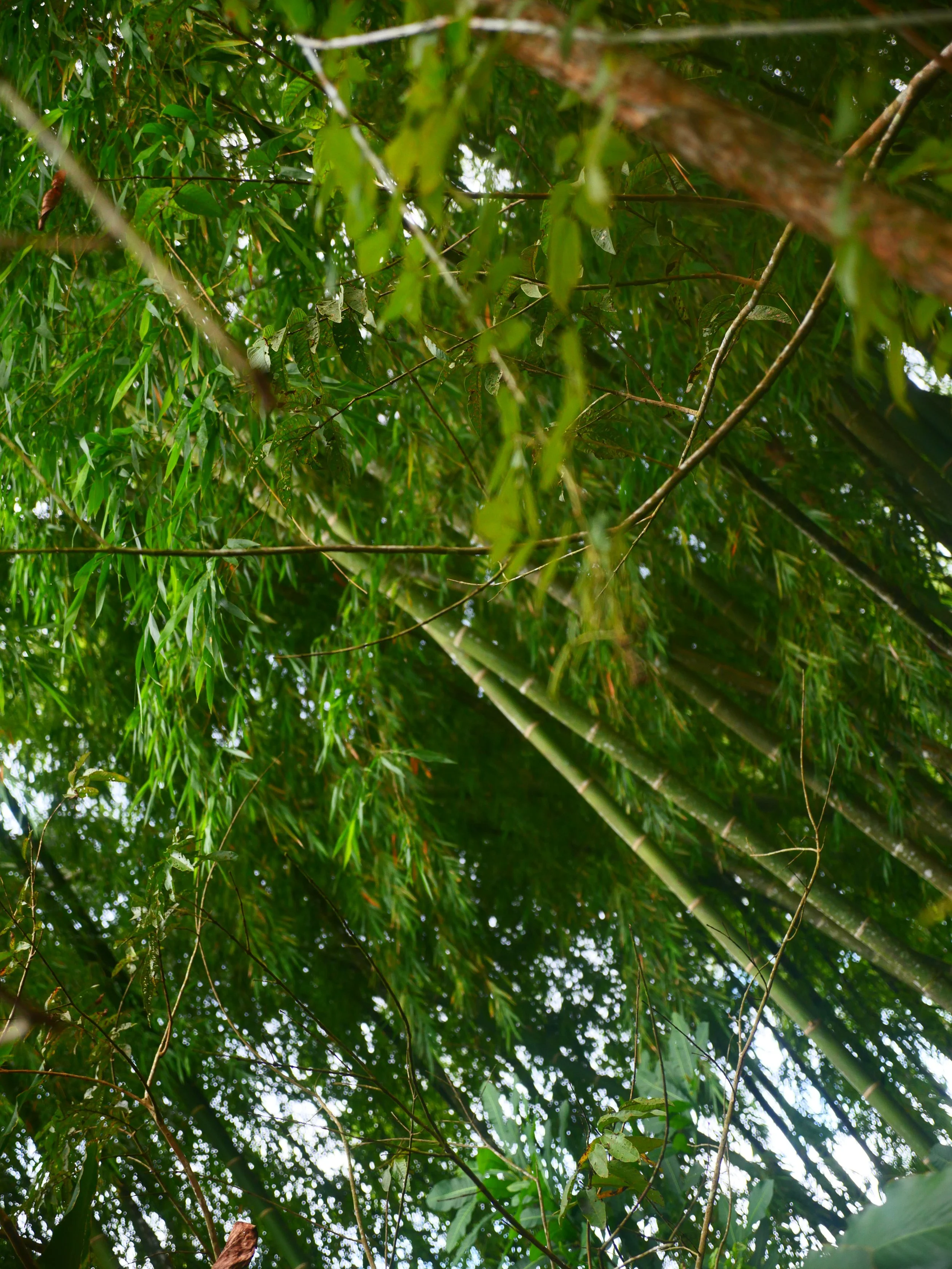 P1041690.JPG