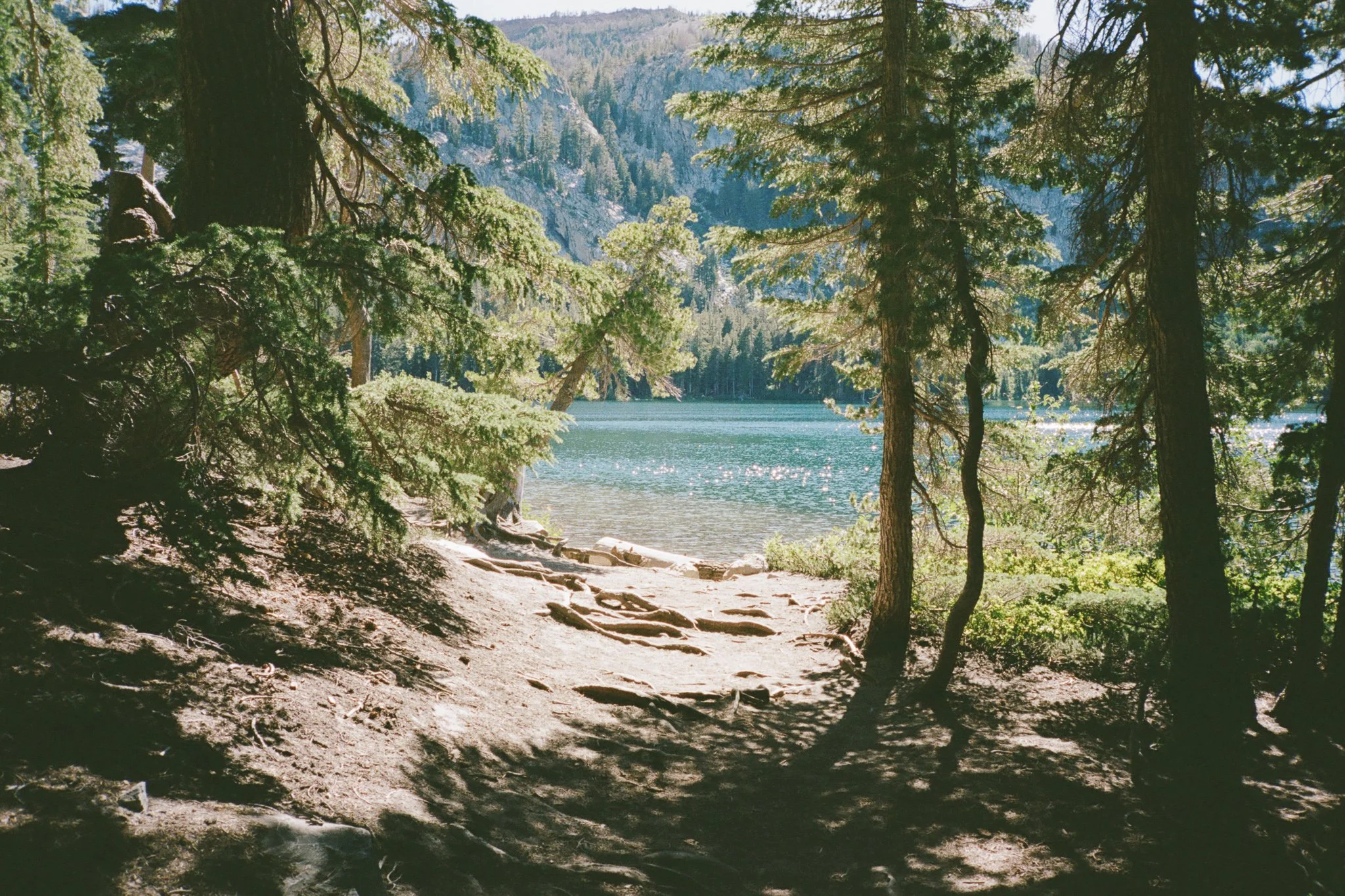 20260727_Mammoth_HP_Web_007.jpg
