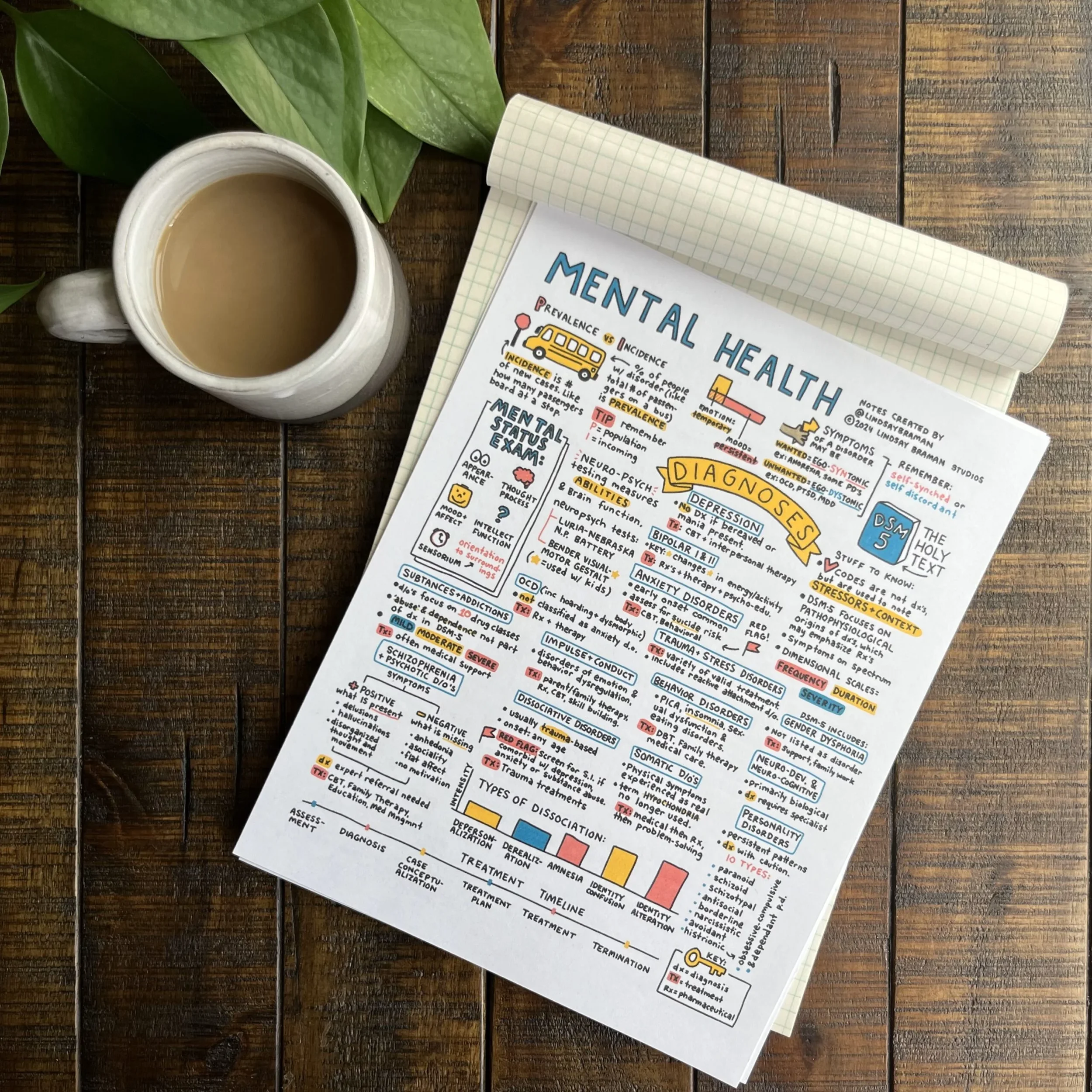 The NCE Visual Study Guide &amp; Activity Book