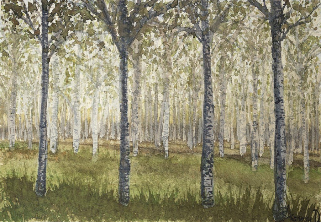  "Poplar Woods"  
Watercolor on paper